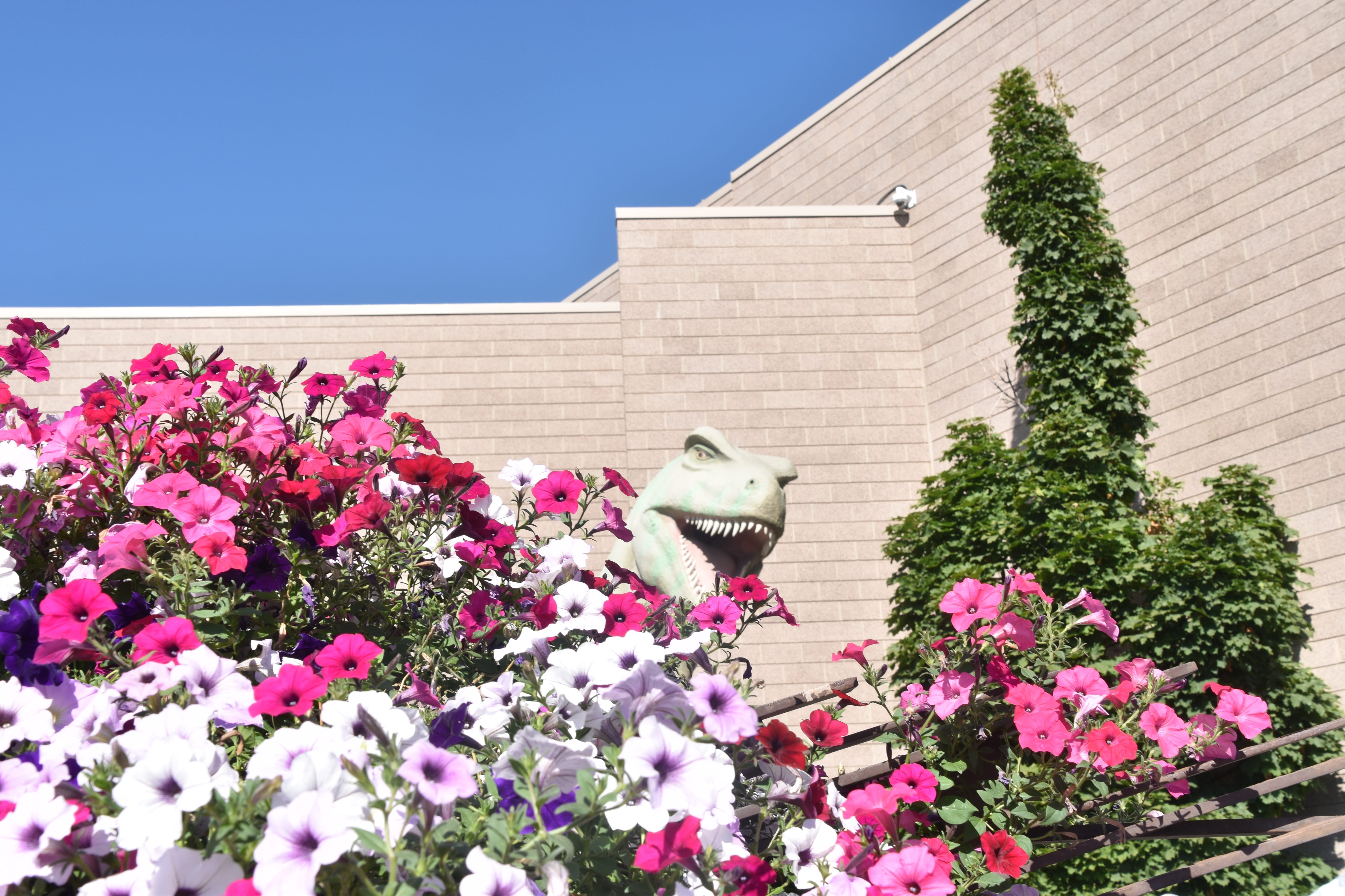 Dinosaur Museum in Vernal