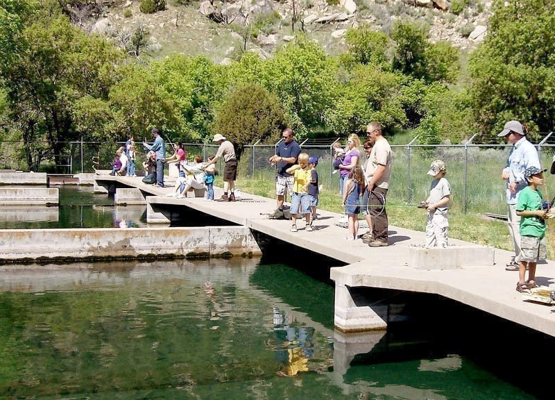 Jones Hole and Fish Hatchery