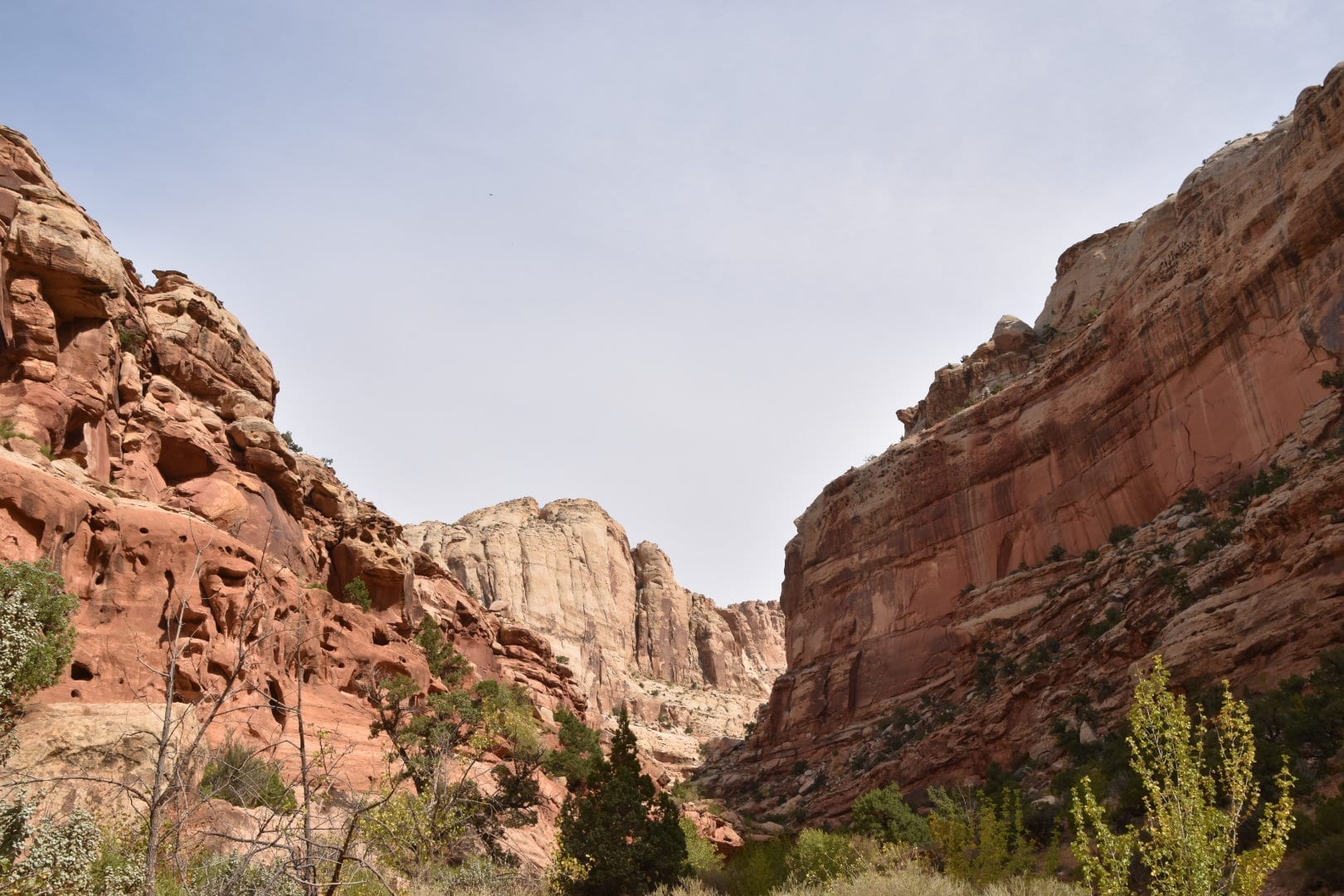 Grand Wash Best hike in Capitol Reef National Park