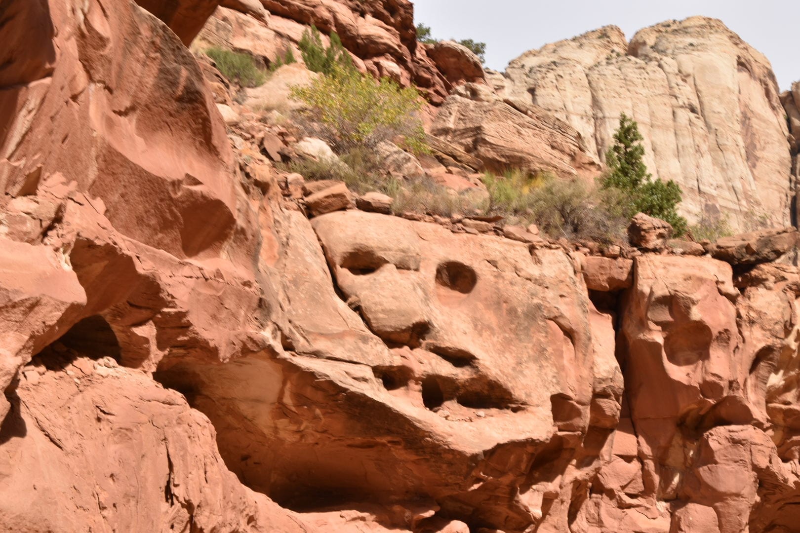 Grand Wash Hike at Capitol Reef National Park