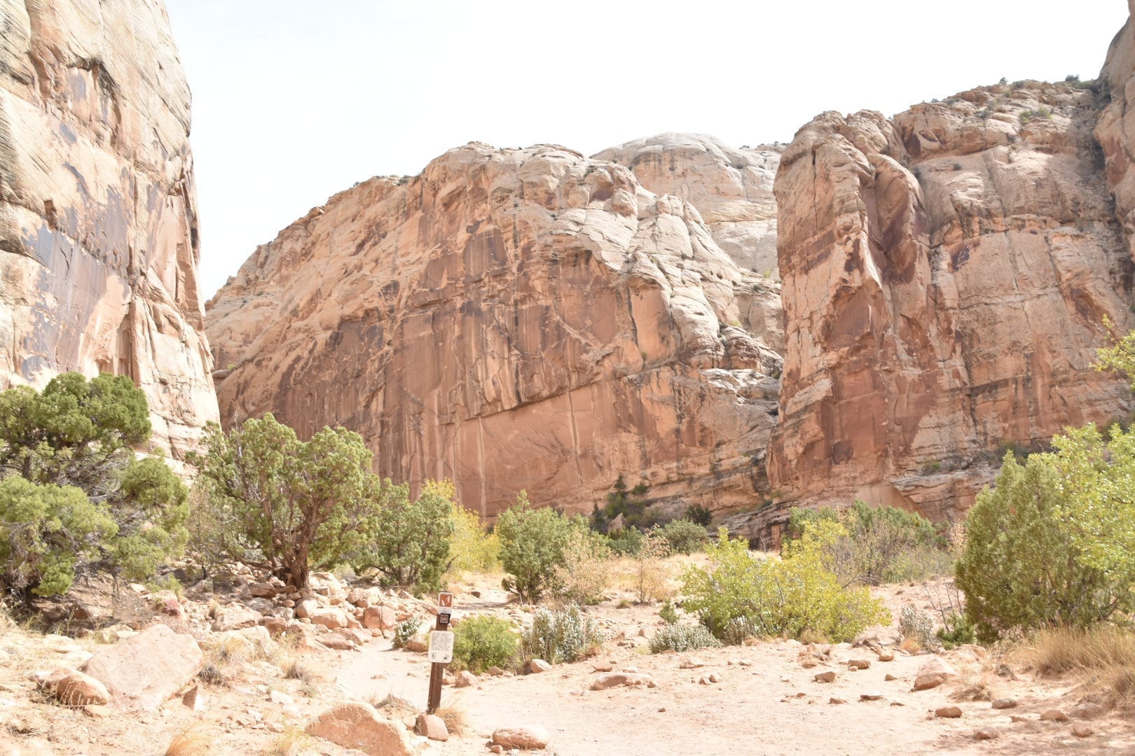 Capitol Gorge hike at Capitol Reef National Park