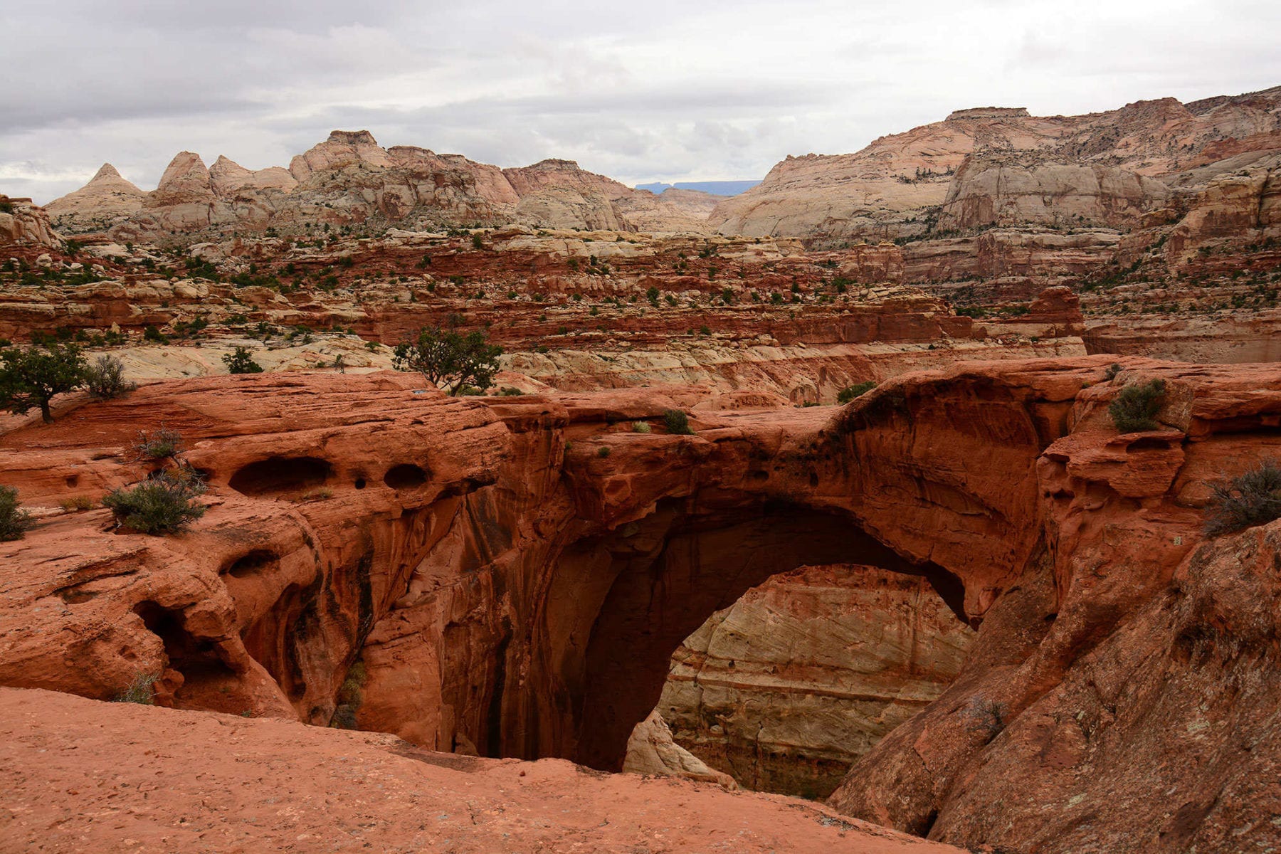 Best hikes at Capitol Reef National