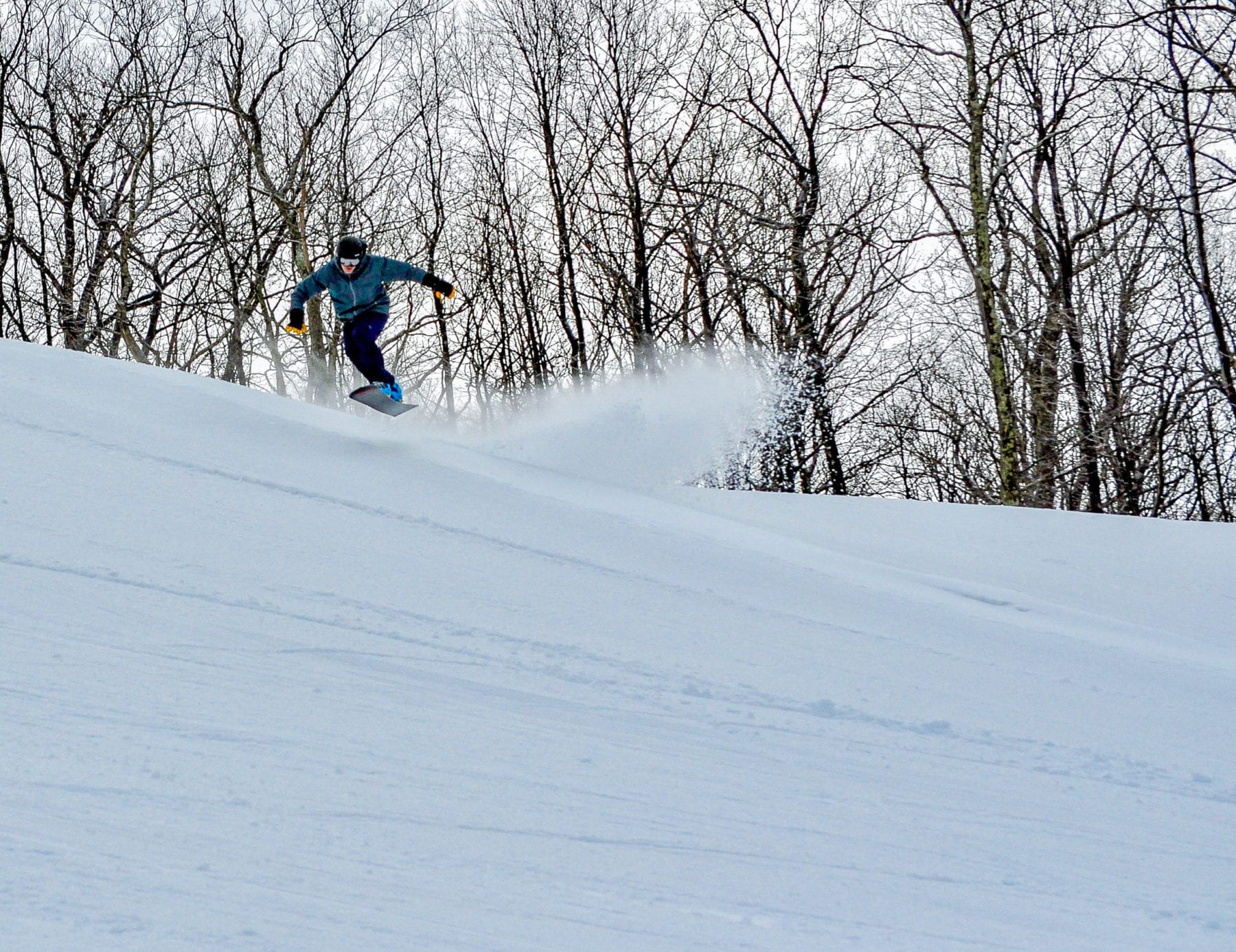 Beginner Skier 