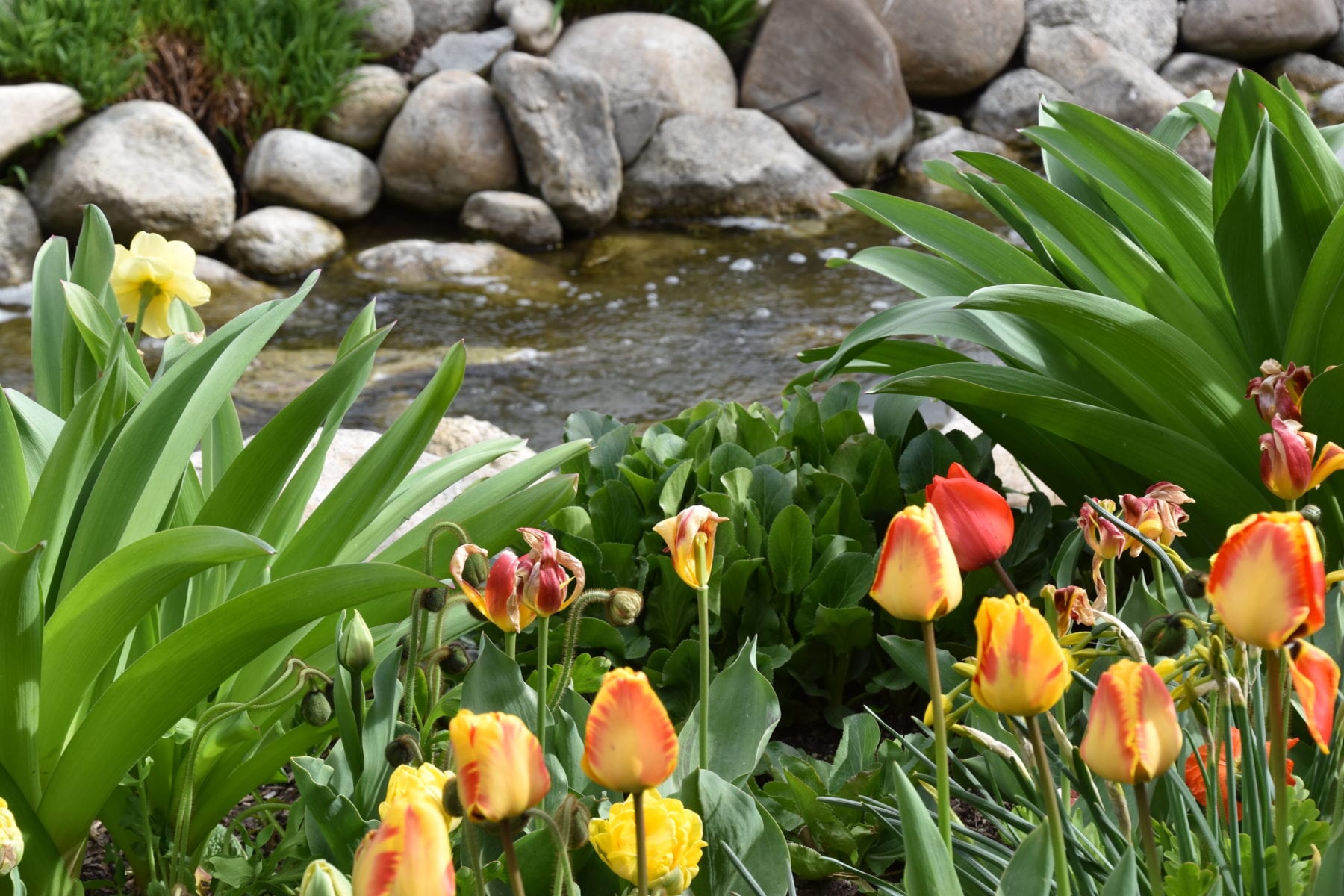 Thanksgiving Point Garden Utah