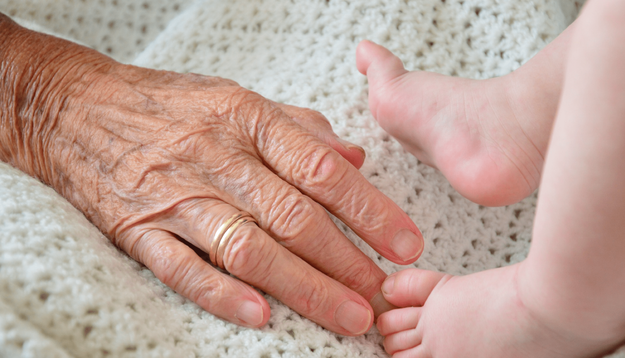 Family Reunion and Family History