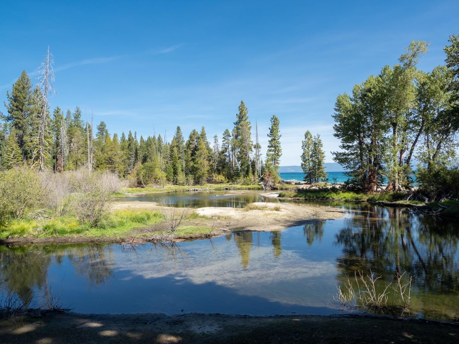 Family Reunion at Lake Tahoe