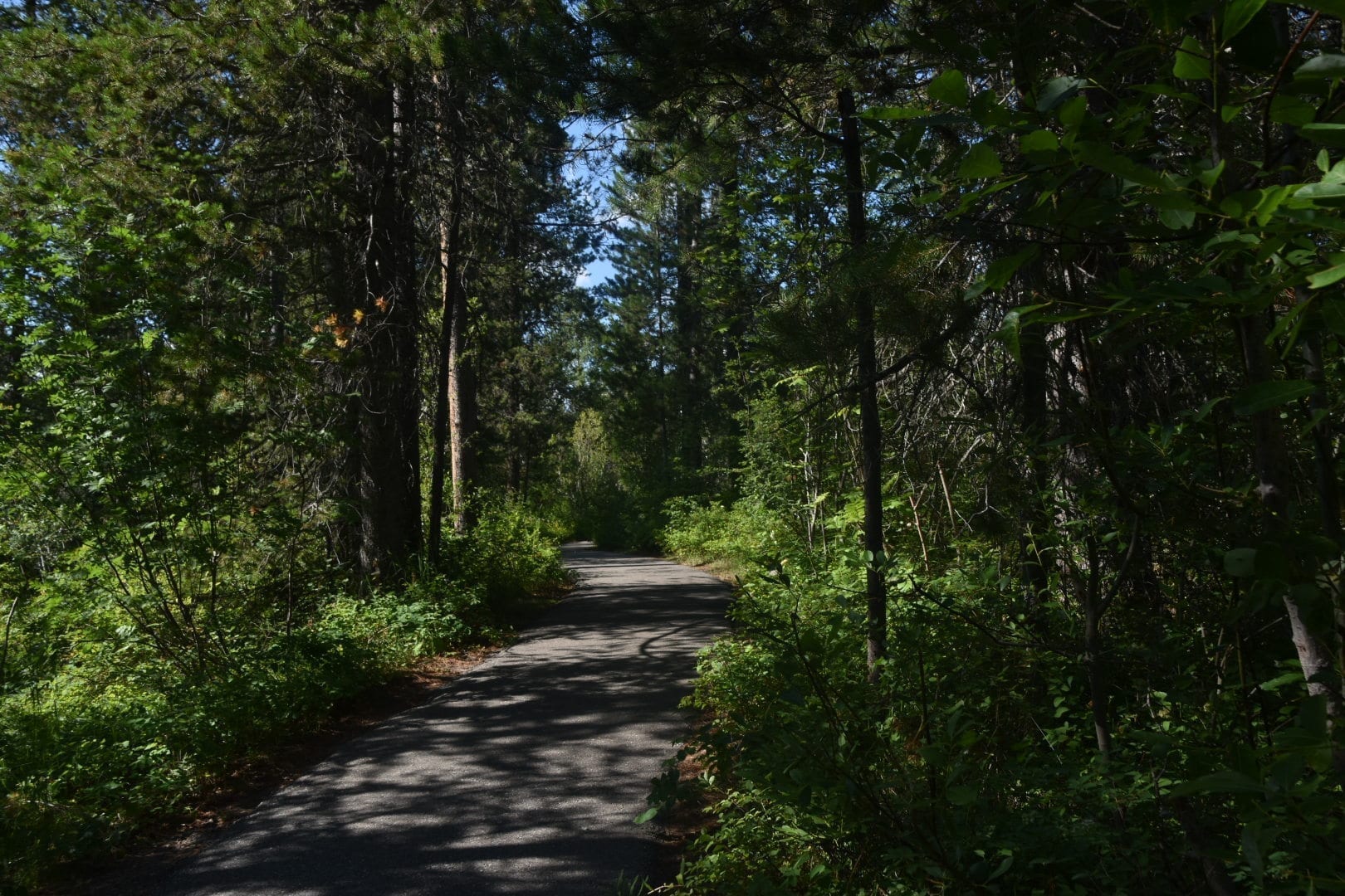 hiking trail at mesa falls