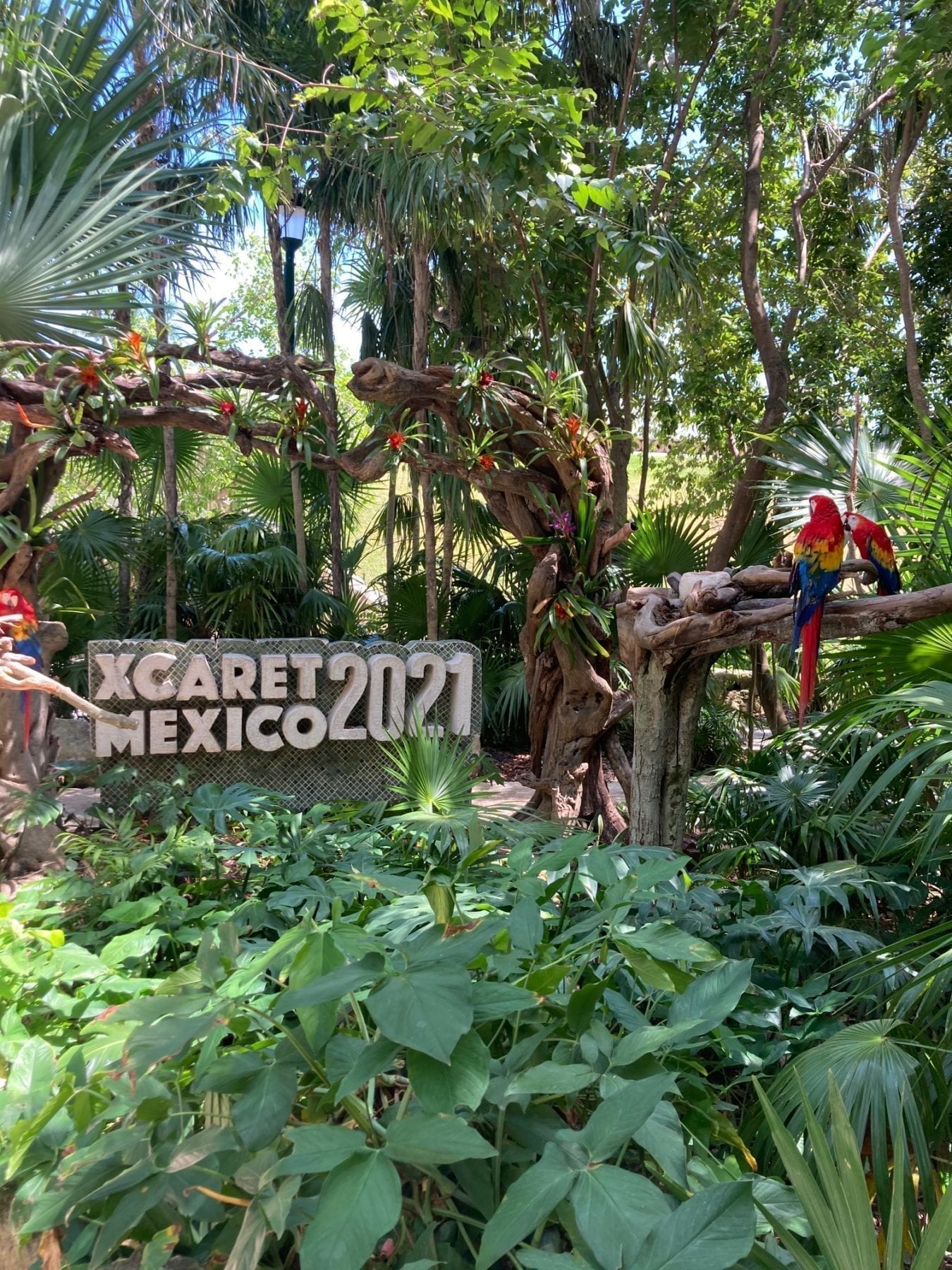 Xcaret Activities in Cancun Mexico