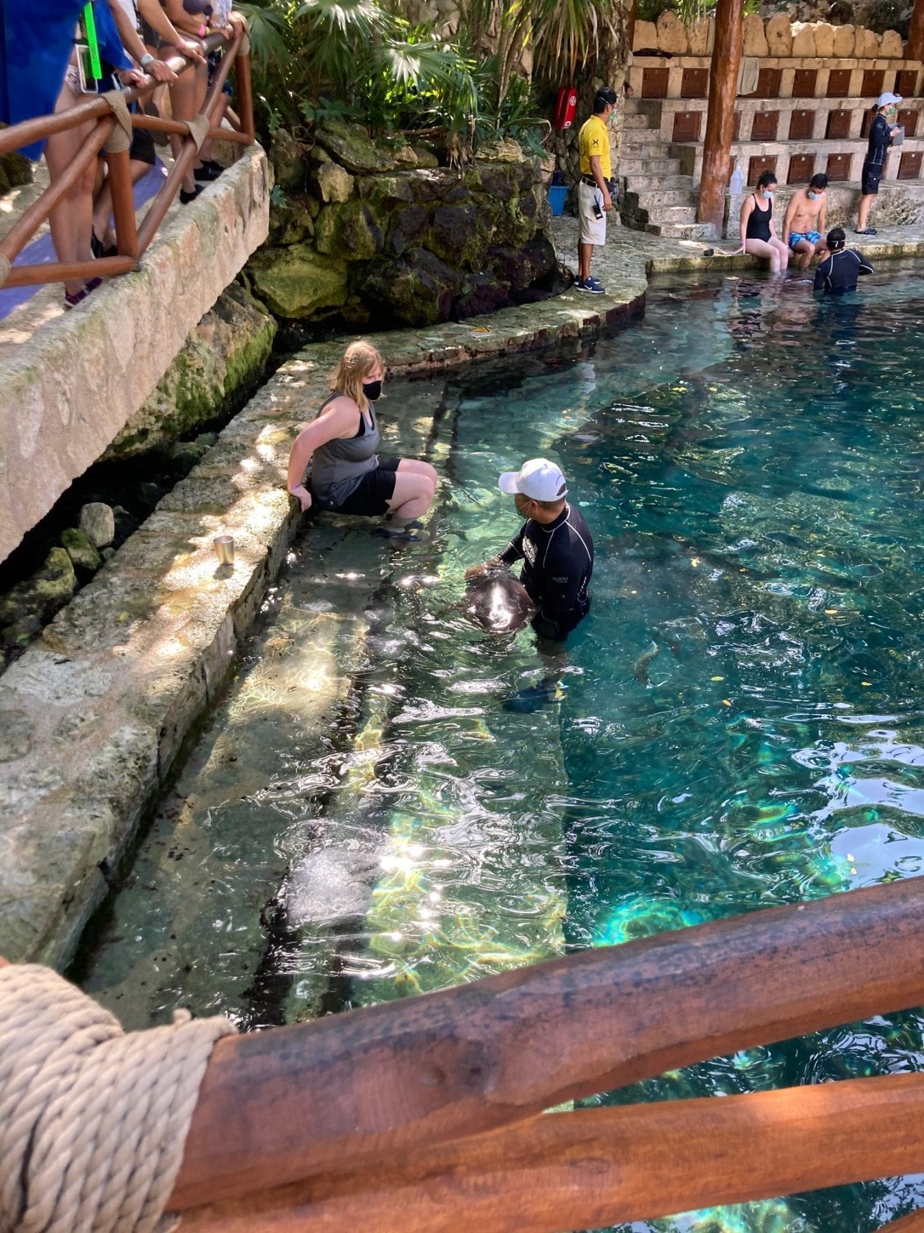 Dolphins at Xcaret