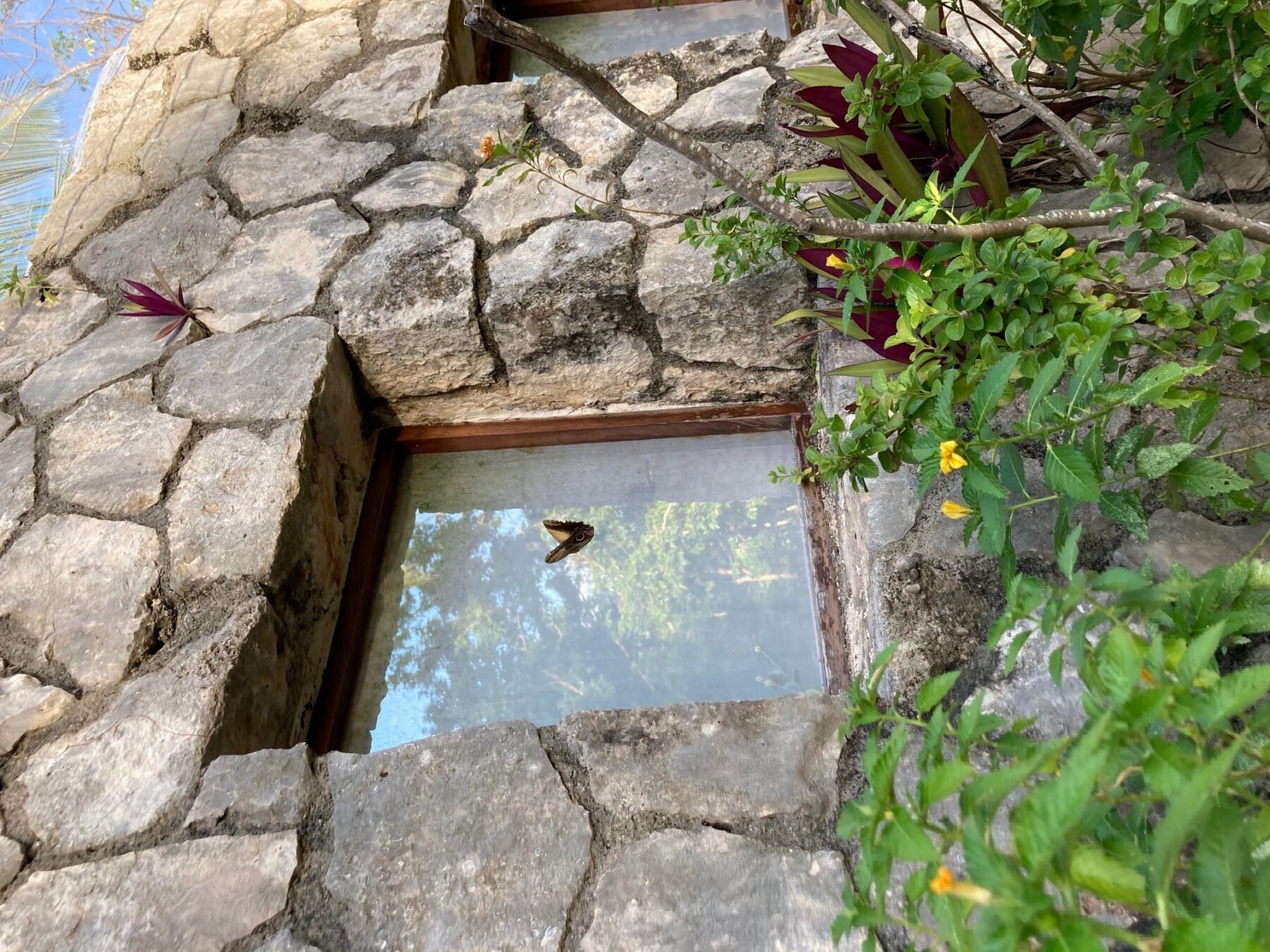 Butterfly exhibit at Xcaret