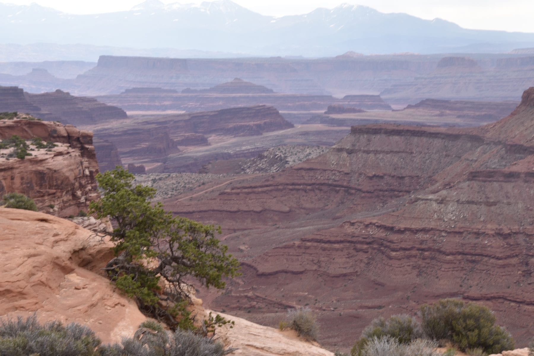 Shafer Overlook at Canyonlands National Park