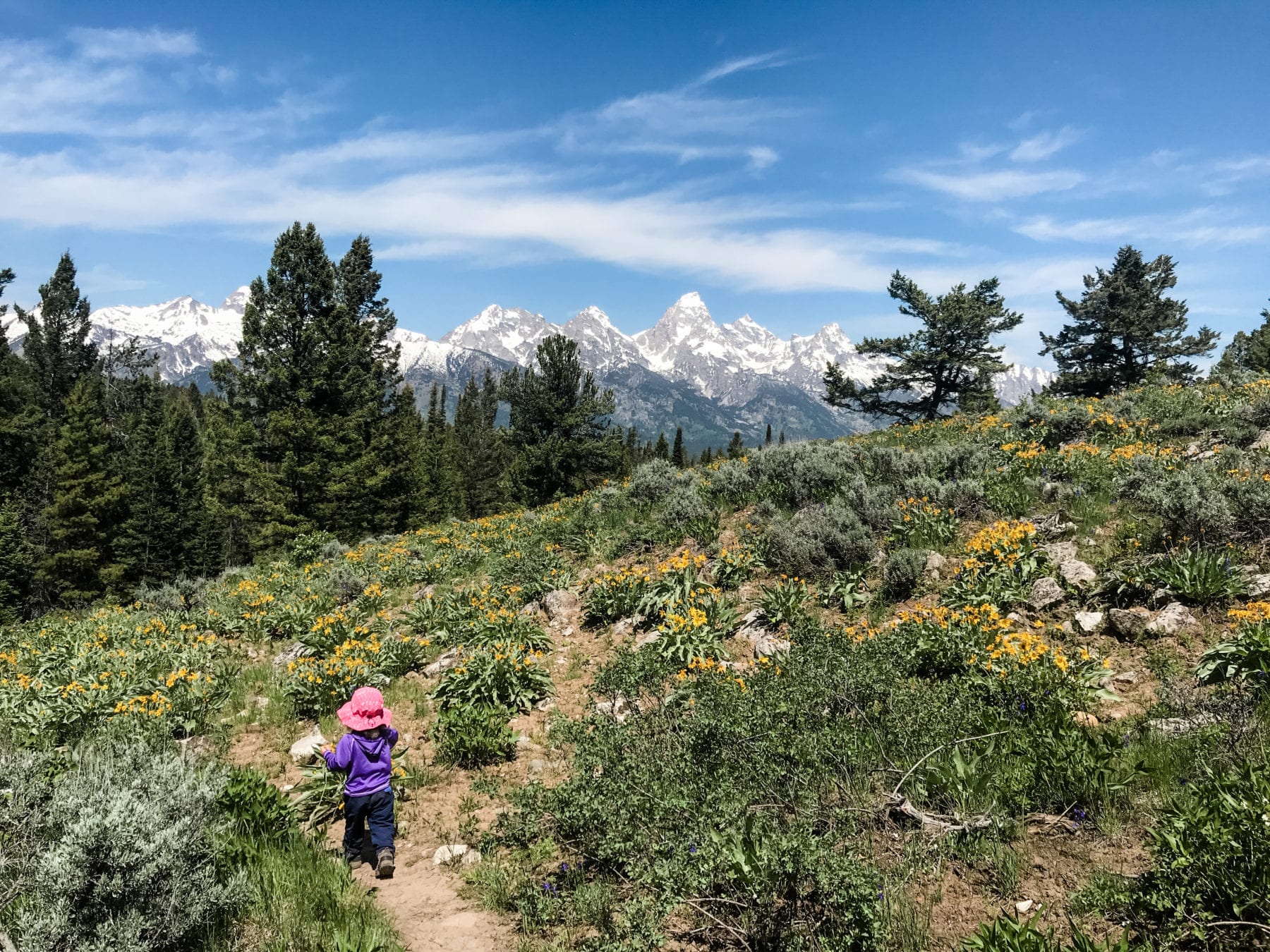 West Coast National Parks Grand Teton