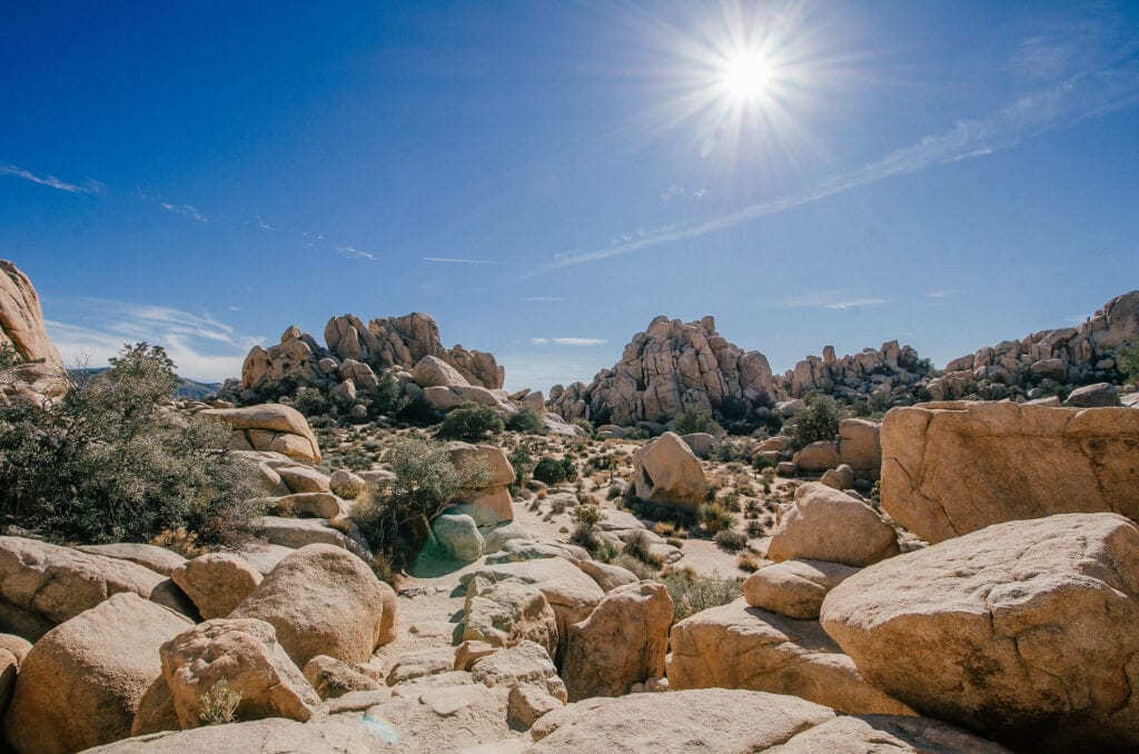 Best West Coast National Parks - Joshua Tree