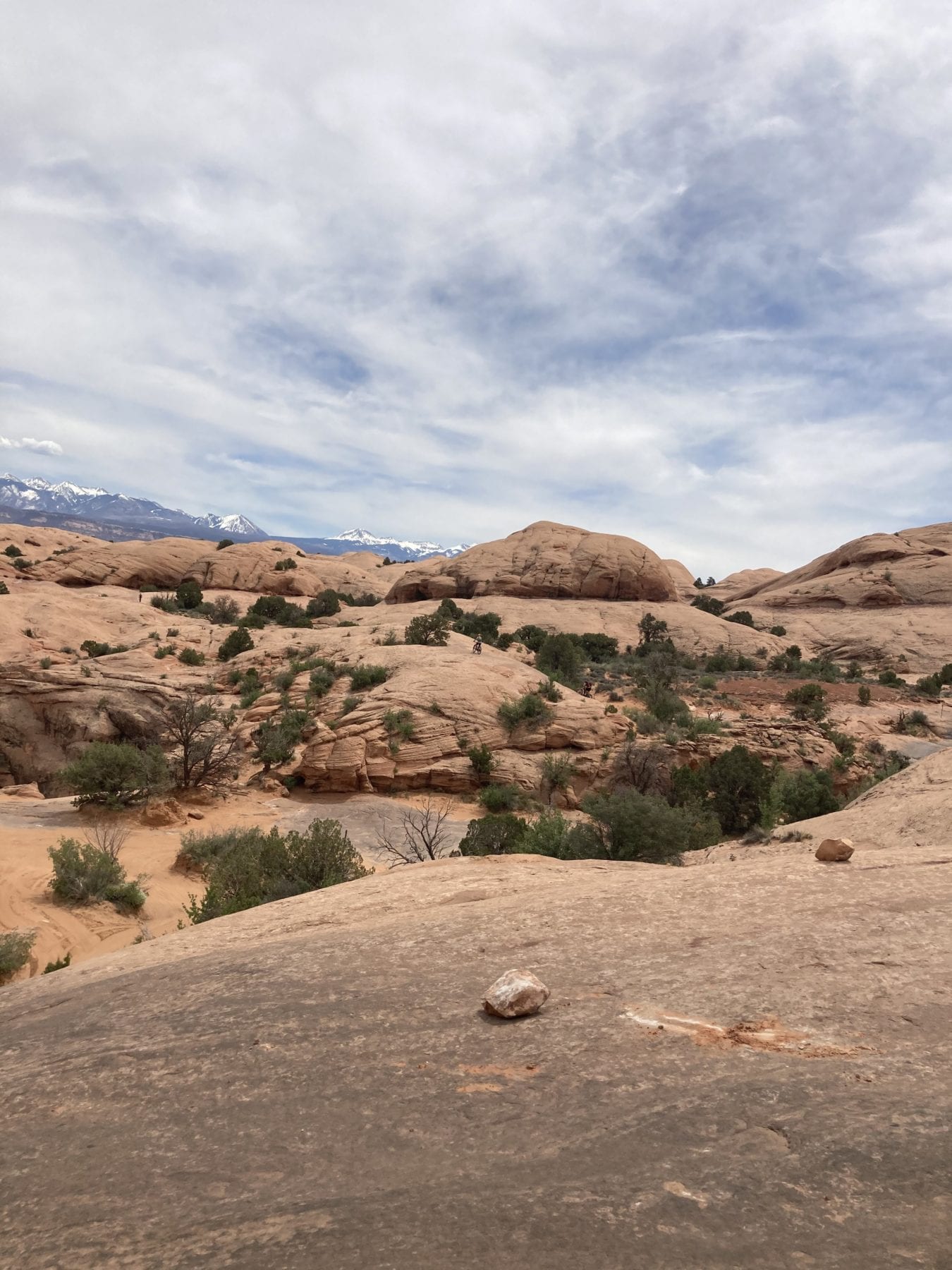 Hell's Revenge Trail in Moab Utah