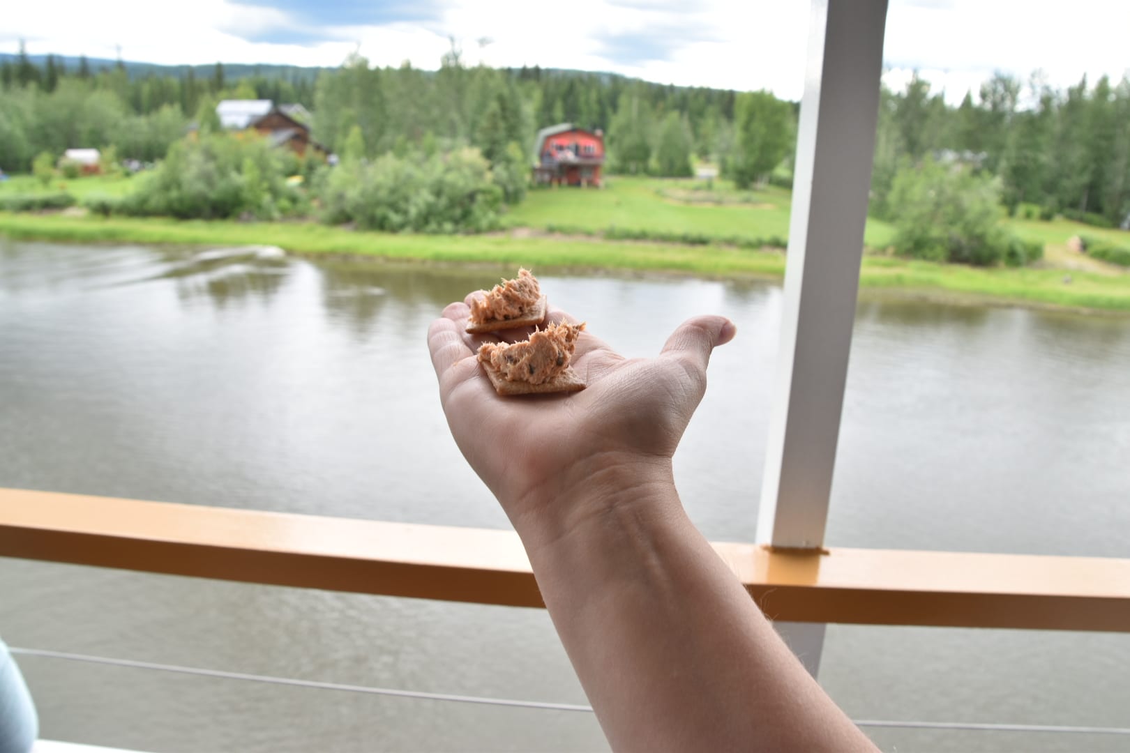 Eating on the Discovery Boat Tour