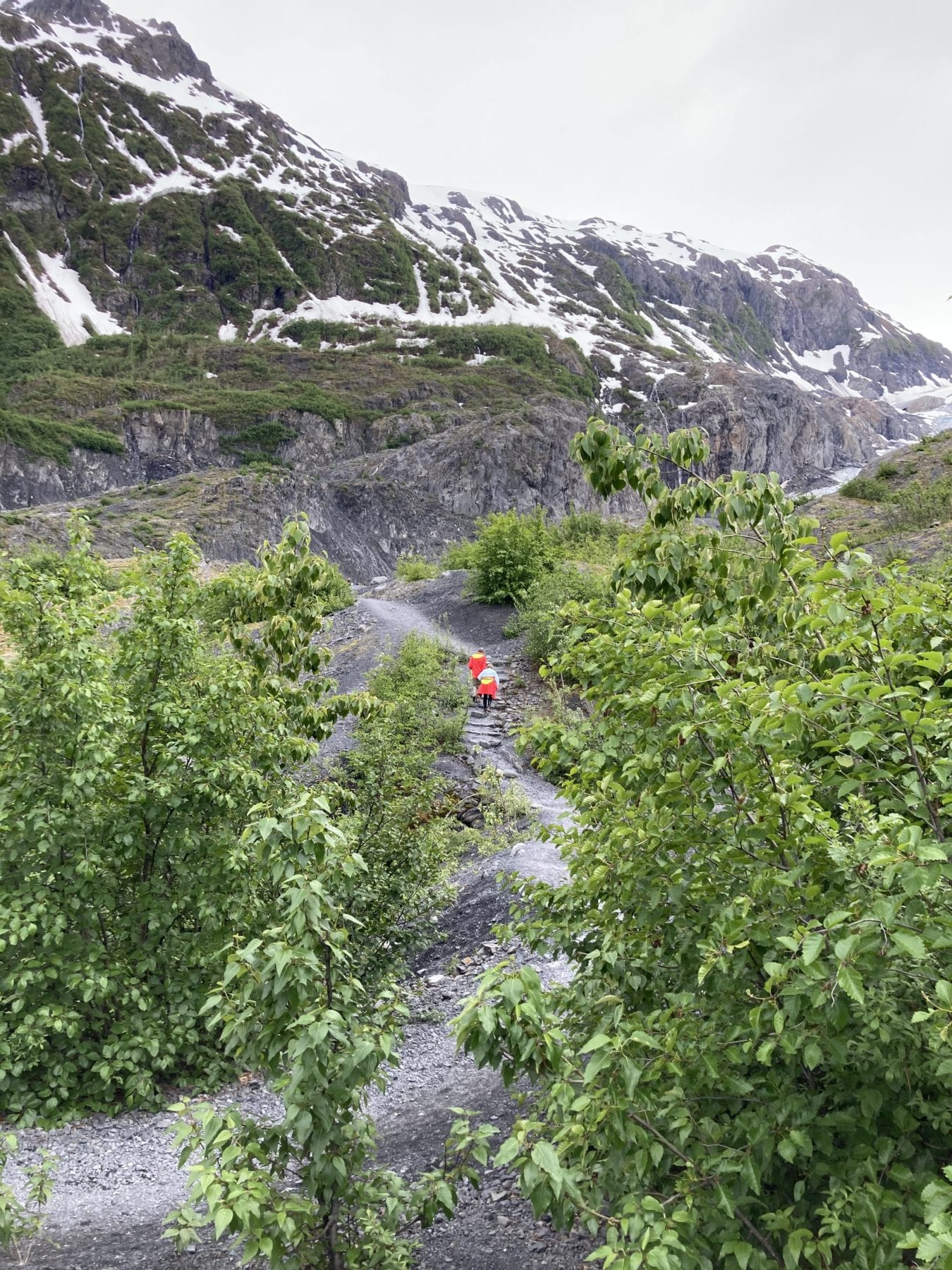 Exit Glacier Trail