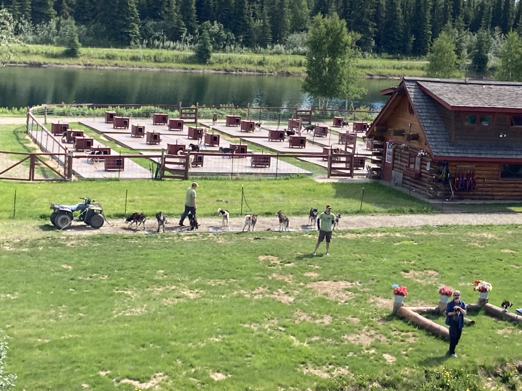 Dog Sled Training area on the Chena River