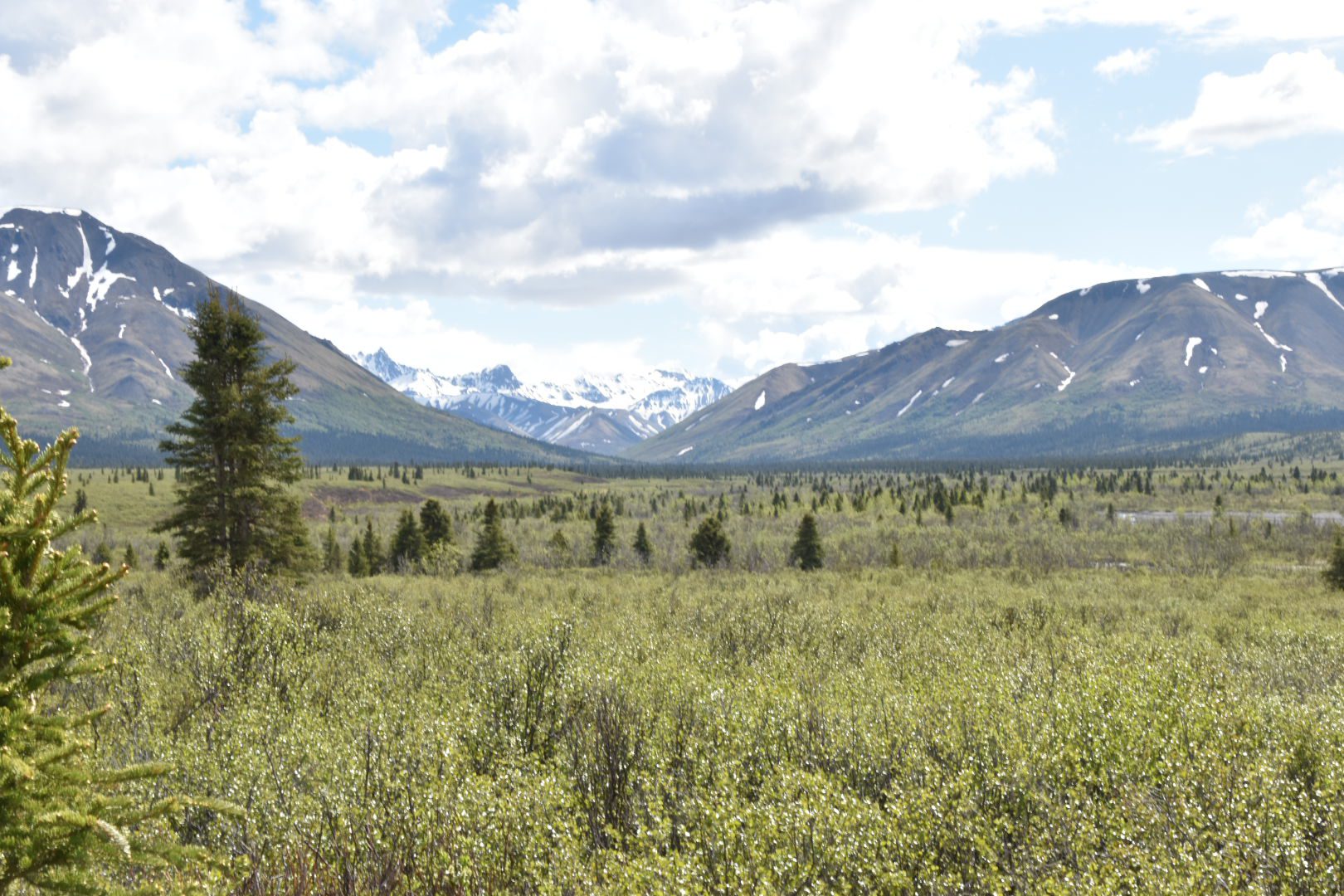 Hiking at Denali National Park