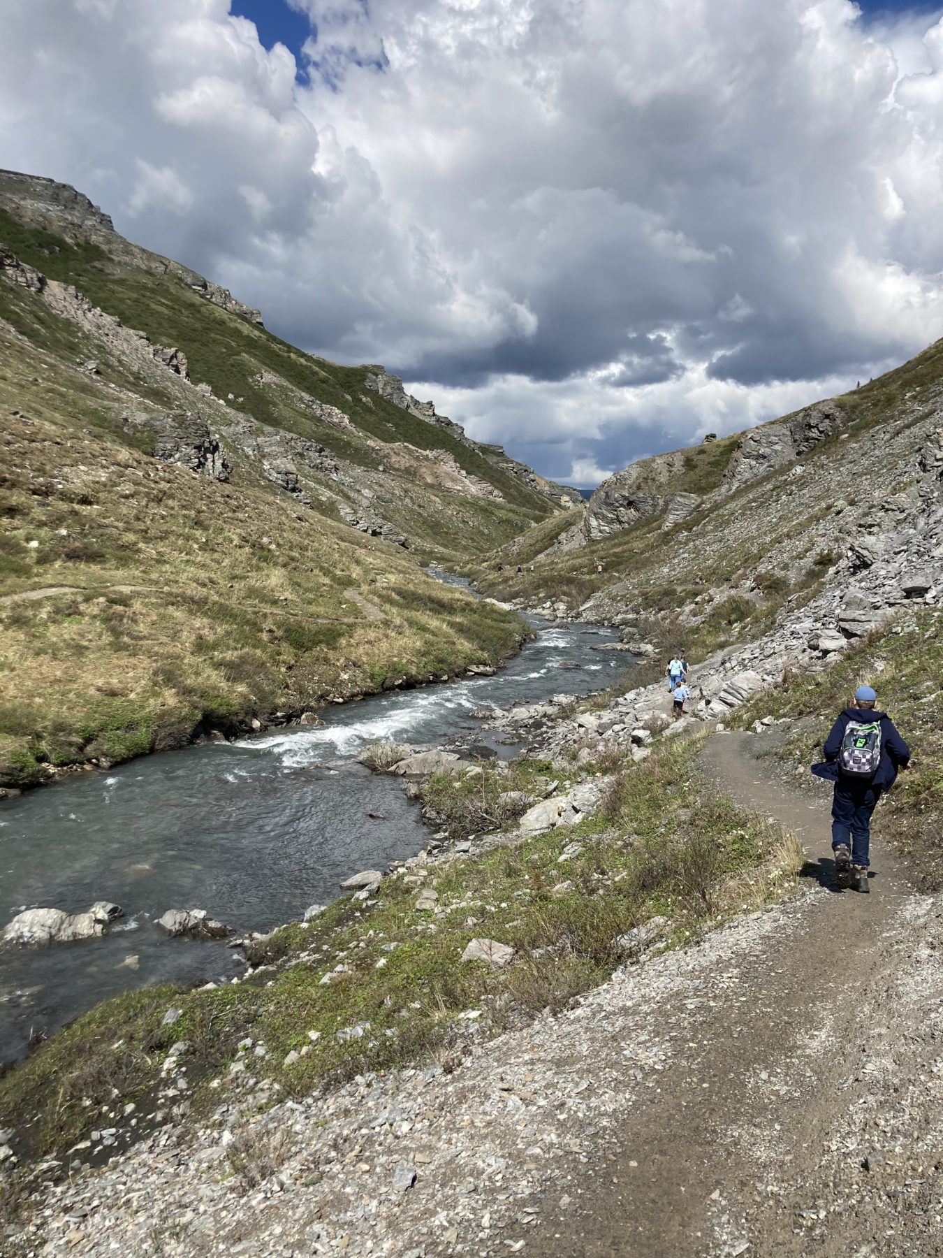 Savage River Loop Trail at Denali National Park