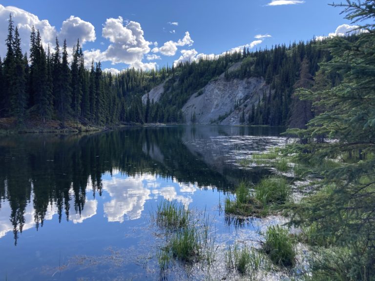 hiking Denali National Park- Horse Lake Trail