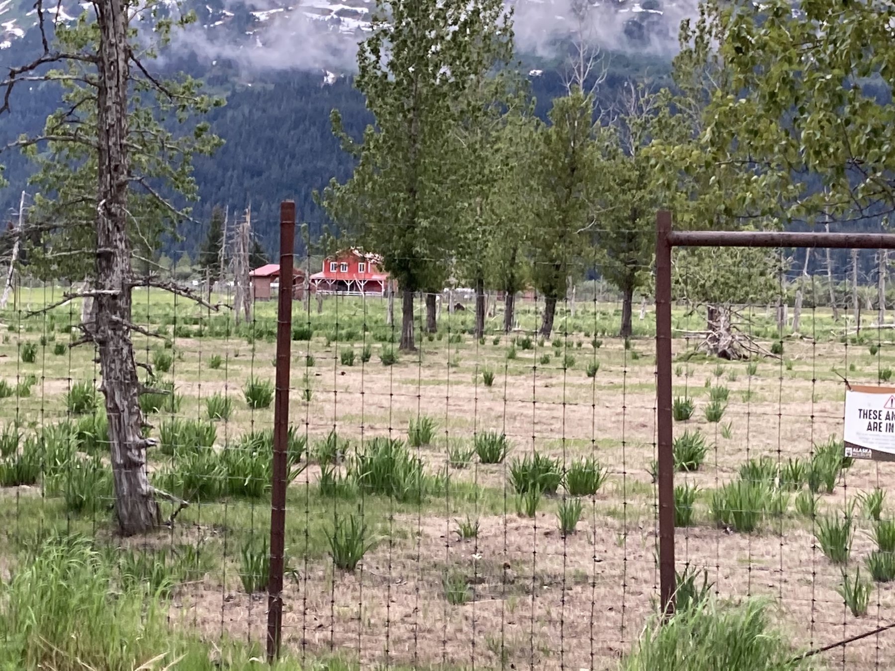 Alaska Conservation Center in Girdwood