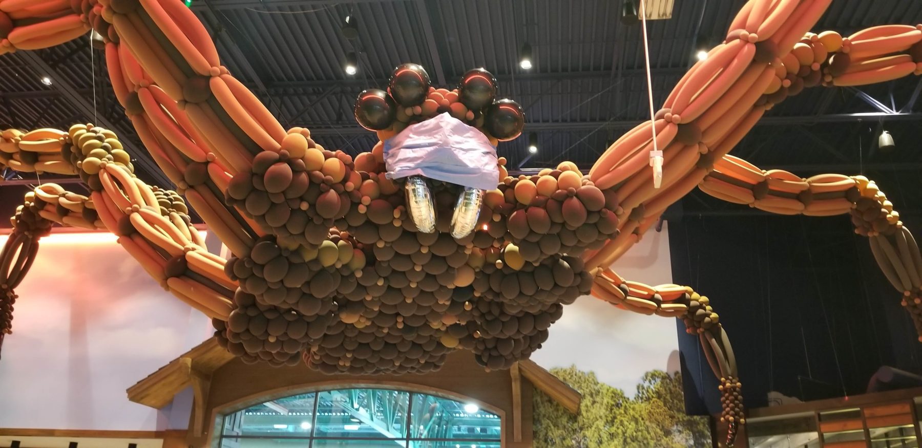 Halloween Decorations at Great Wolf Lodge