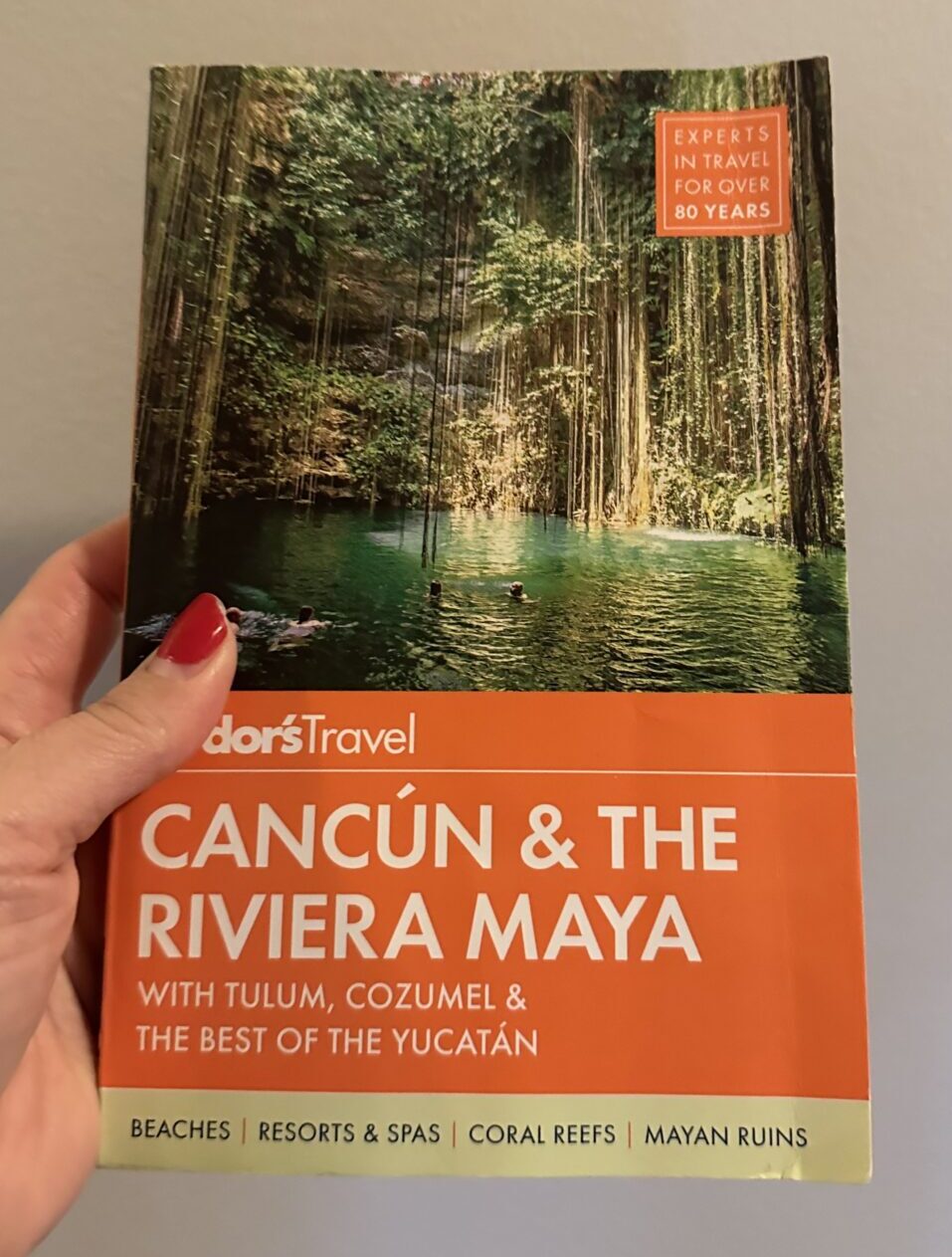 Souvenir ideas guidebooks