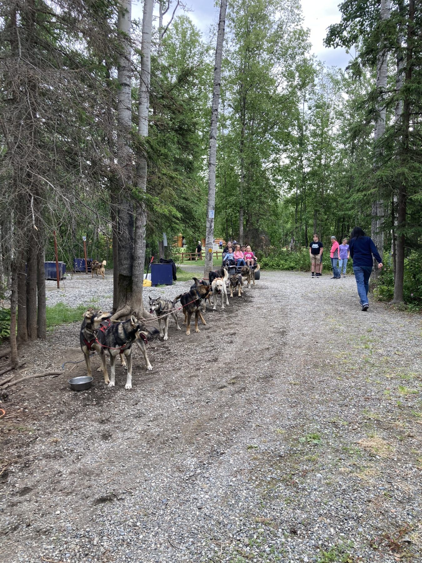 7 Day Alaska Itinerary - Iditarod Museum 