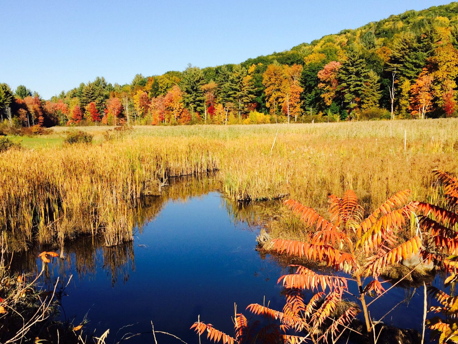 Family vacation ideas on the east coast - Vermont