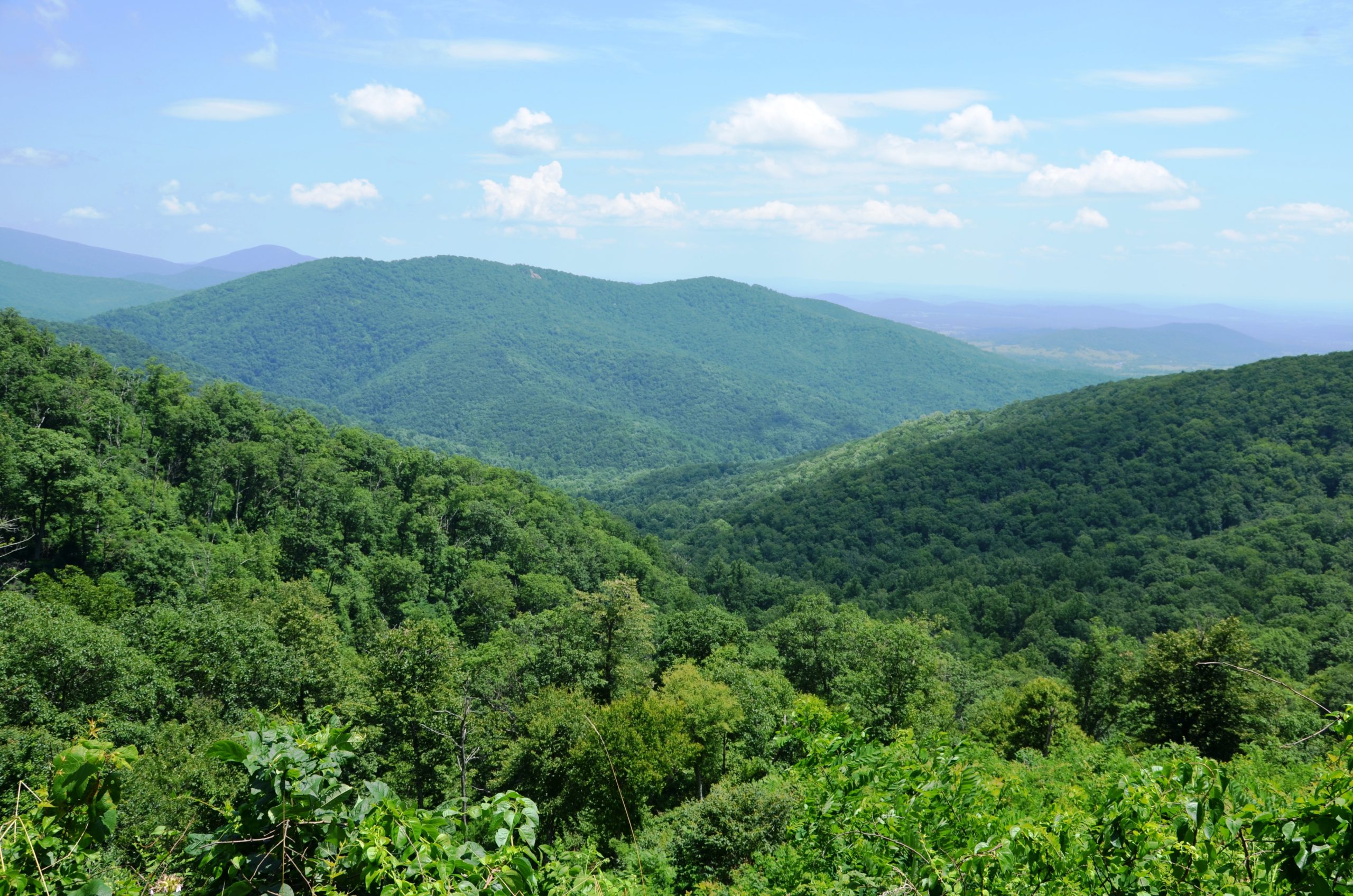 Shenandoah National Park