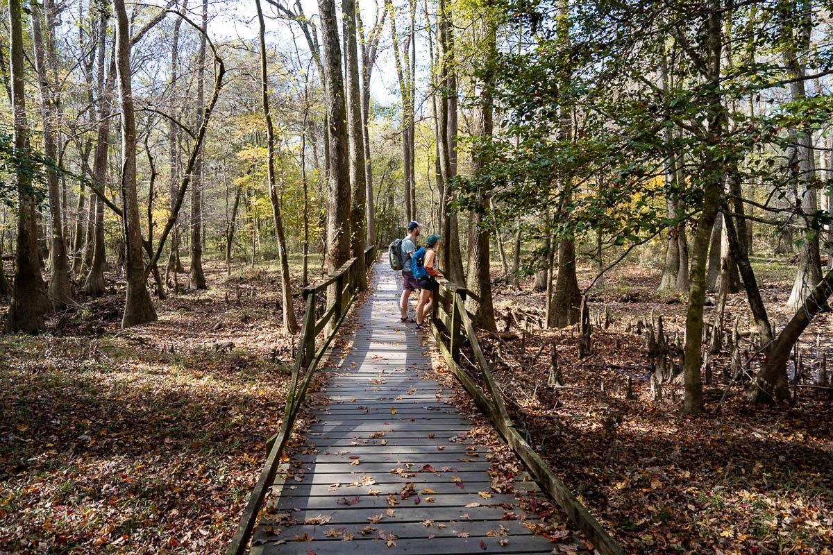 family vacations on East coast Congaree National Park