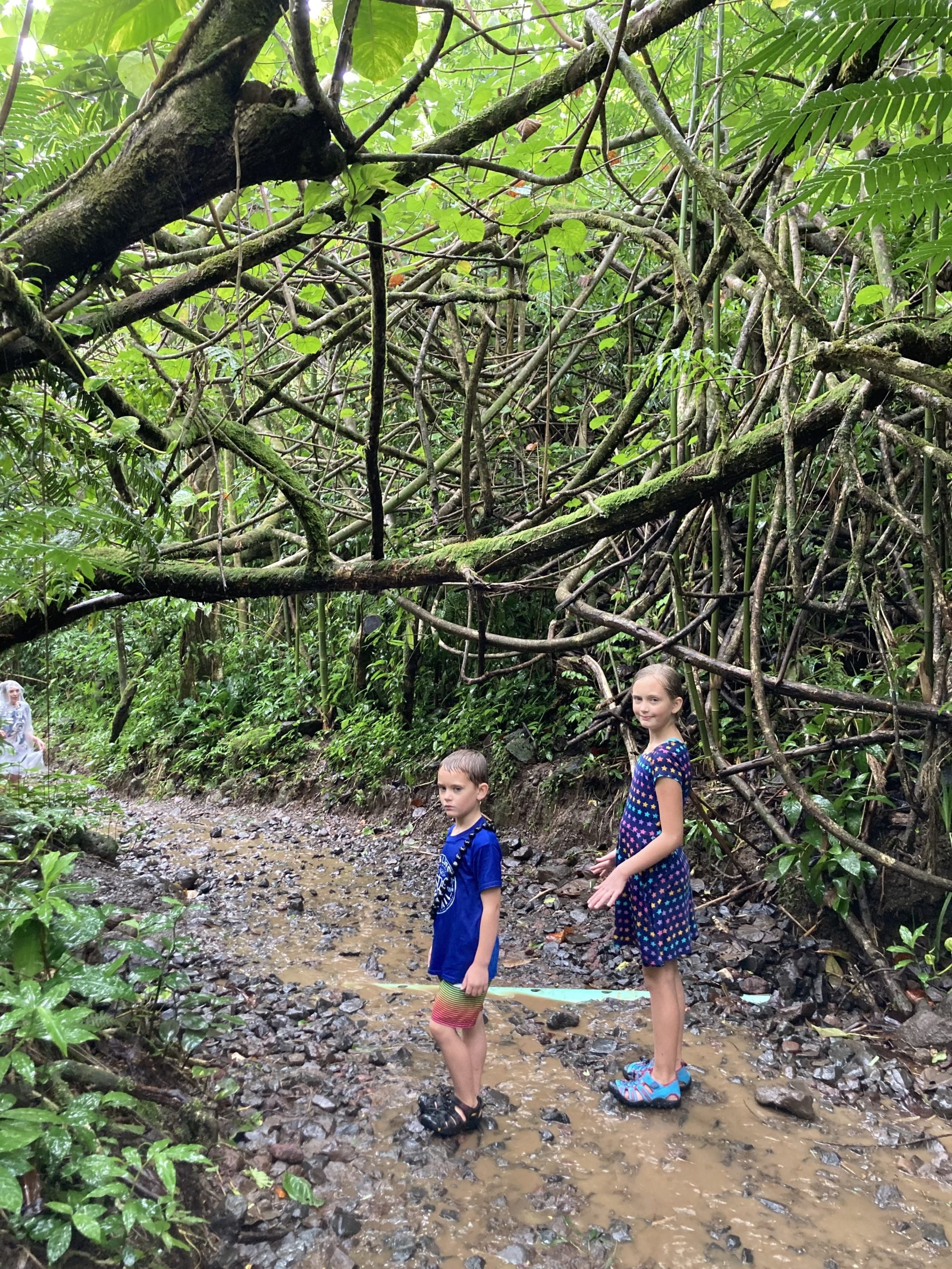 Oahu Hiking with kids