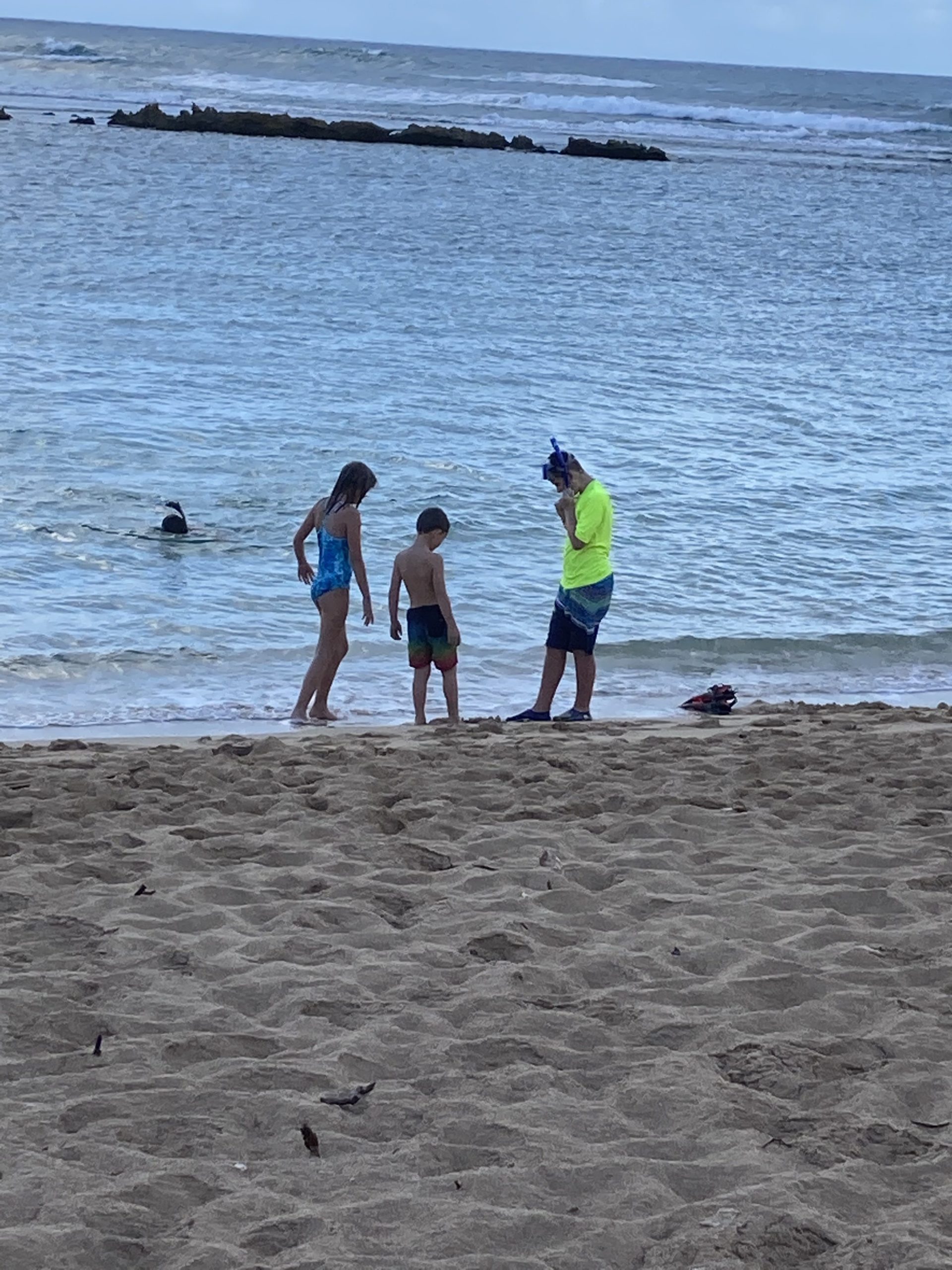 Oahu with kids - Snorkel