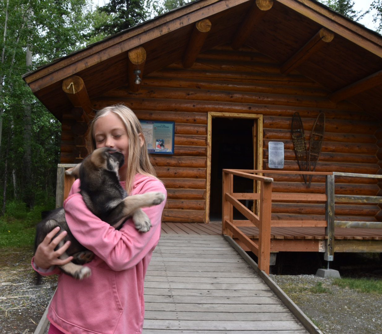 Dog Sled in Talkeetna Alaska