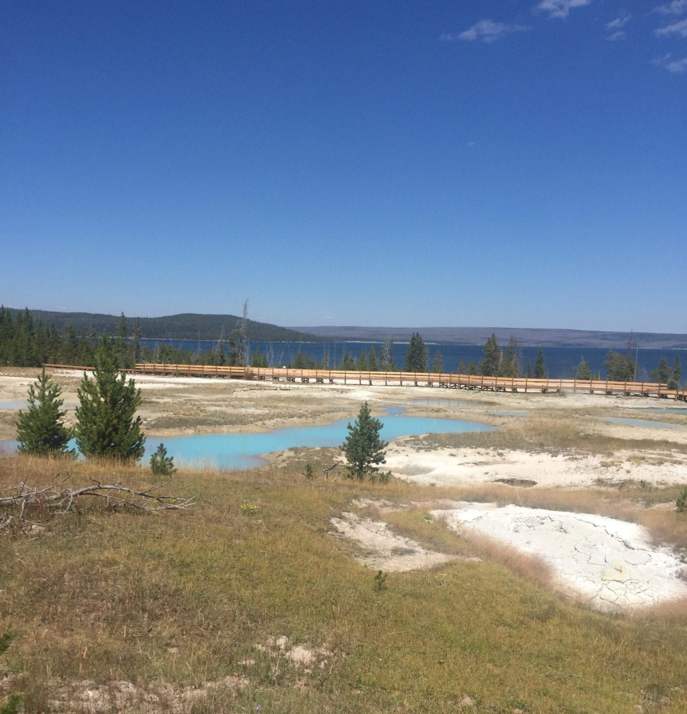 Yellowstone National Park with kids