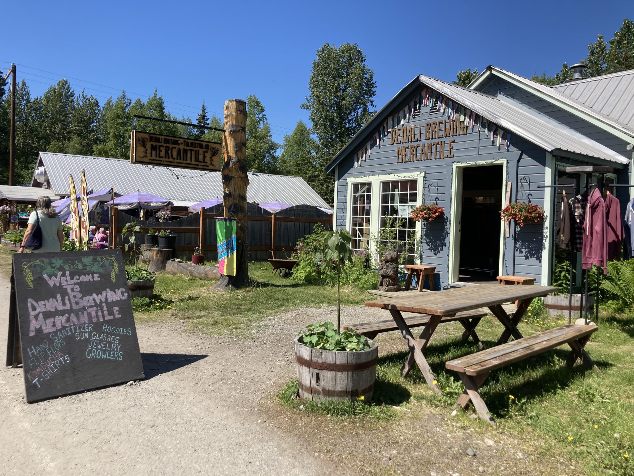 13 Best Things To Do In Talkeetna Alaska With Kids (What To Do In