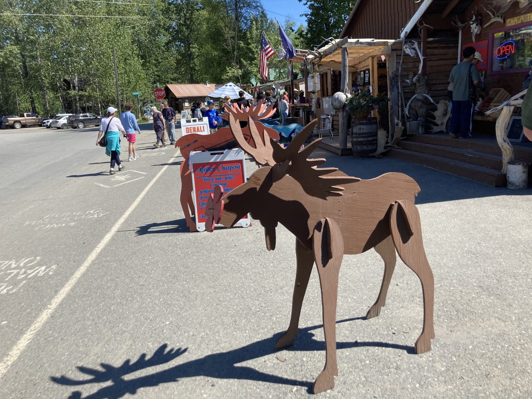 Shopping in Talkeetna