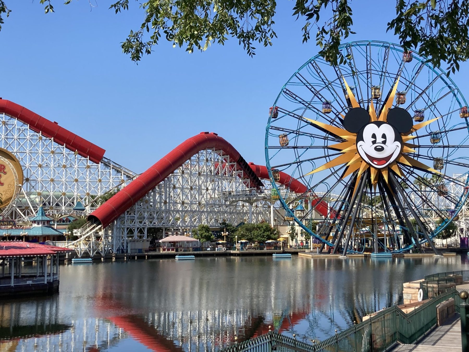 Plan a Disneyland Trip