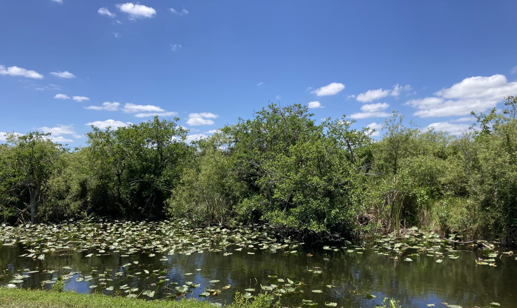 Everglades National Park Shark Valley