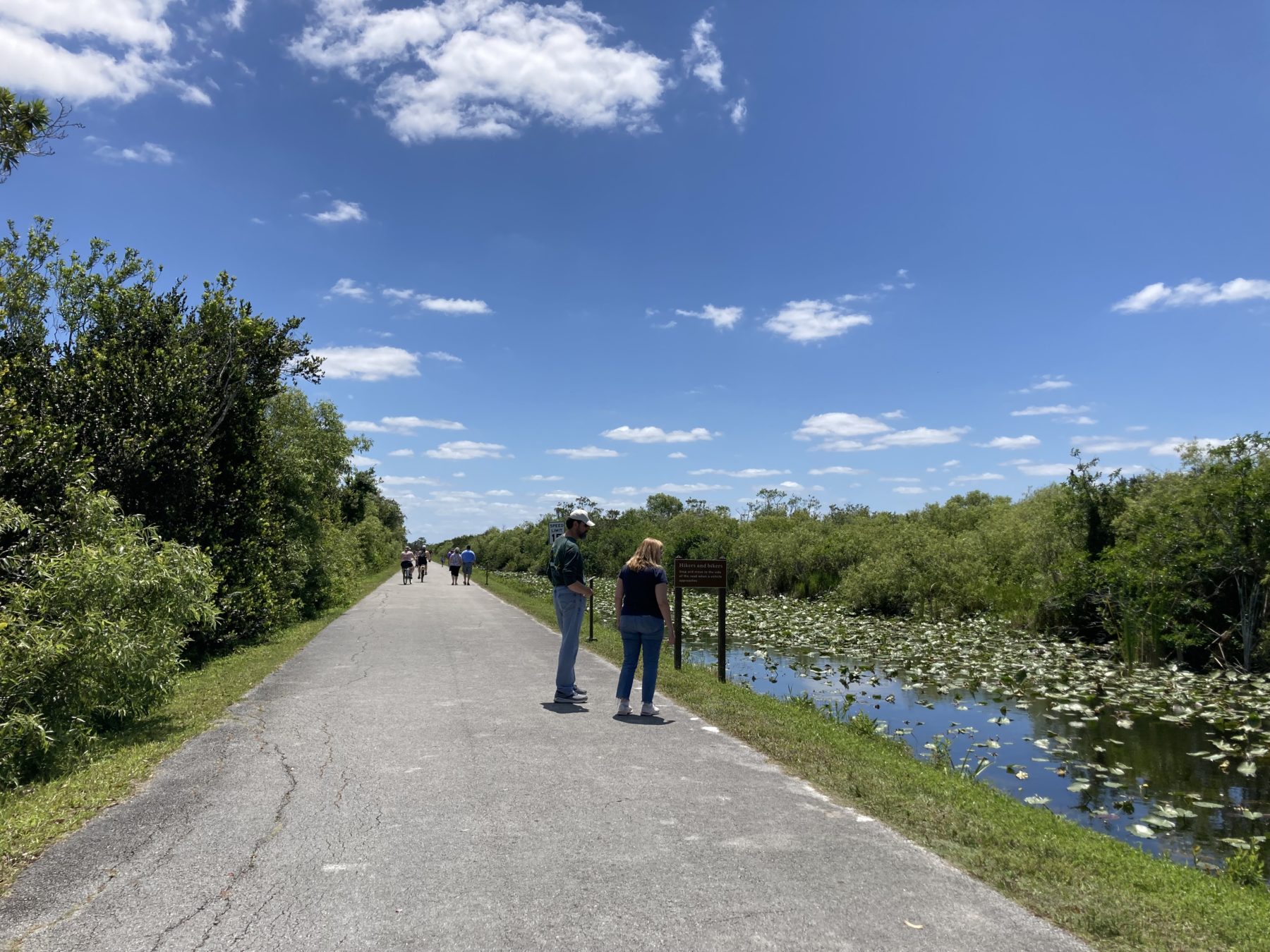 Shark Valley Everglades National Park