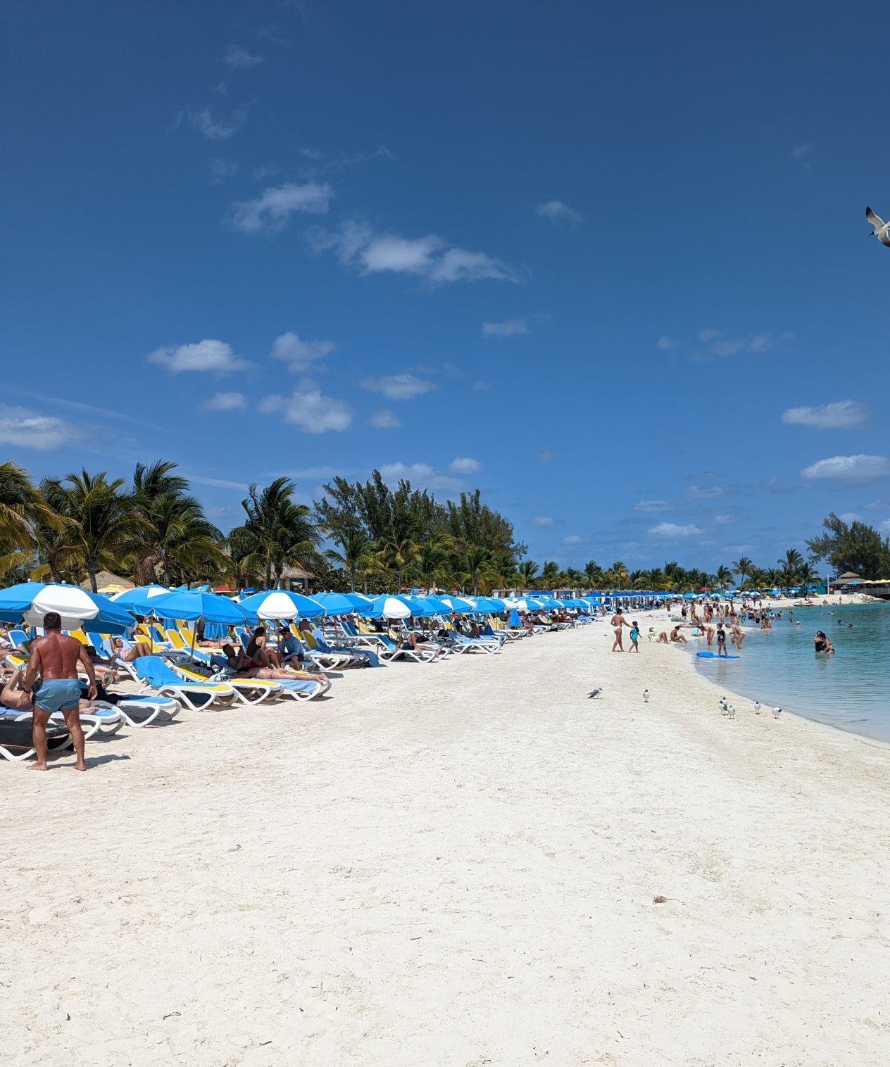 breezy bay at chill island at cococay