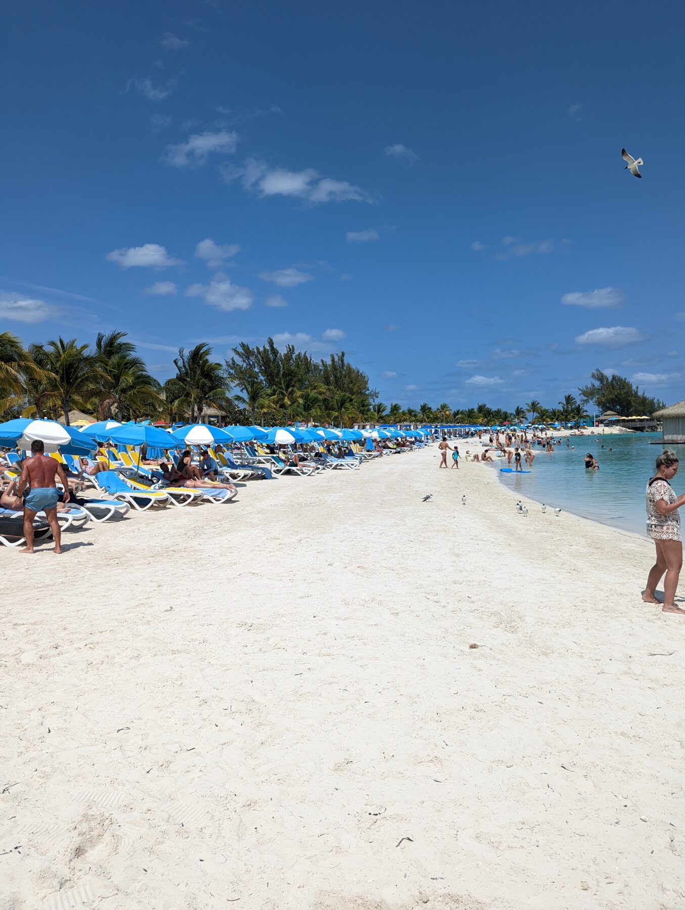 breezy bay at chill island at cococay