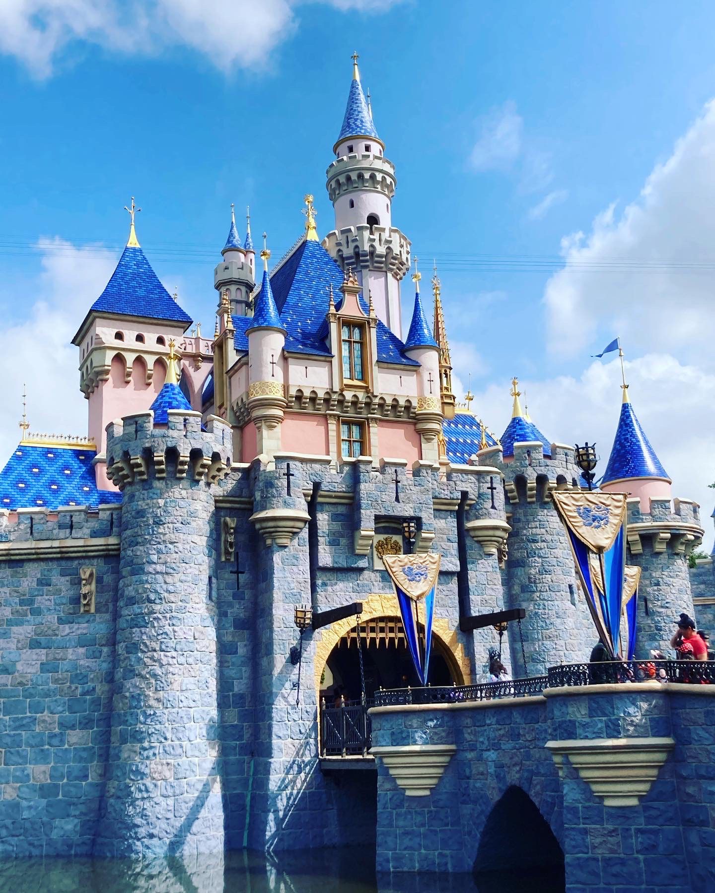 Disneyland Castle - Disney Itinerary