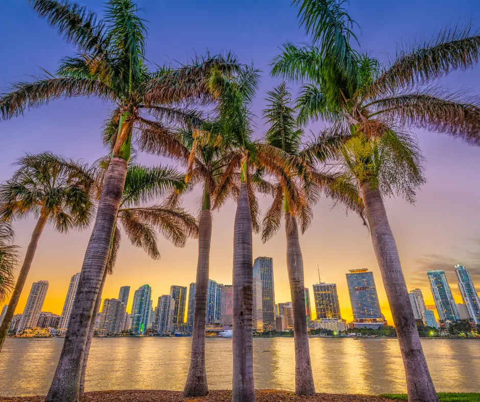 One day in Miami Itinerary