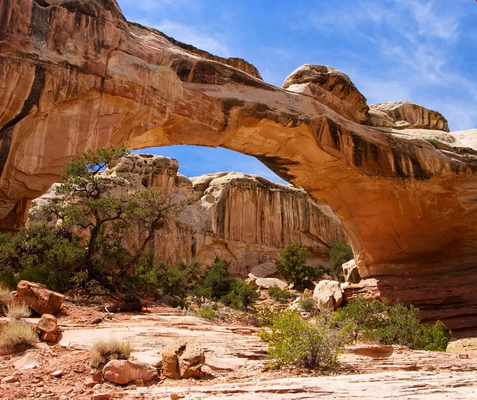 Hickman Bridge Hikes at Capitol Reef National Park