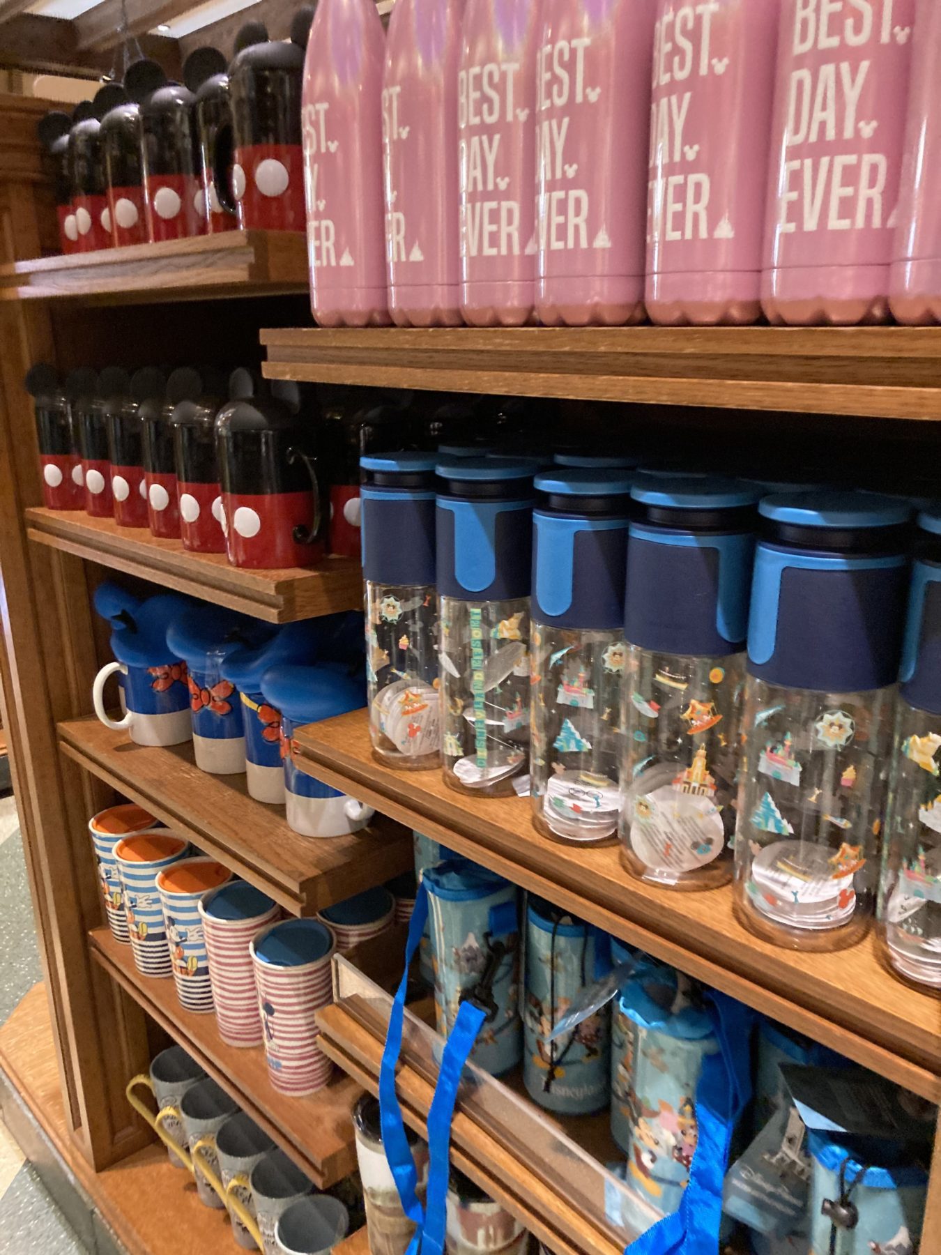 Water Bottles - Disneyland Souvenir