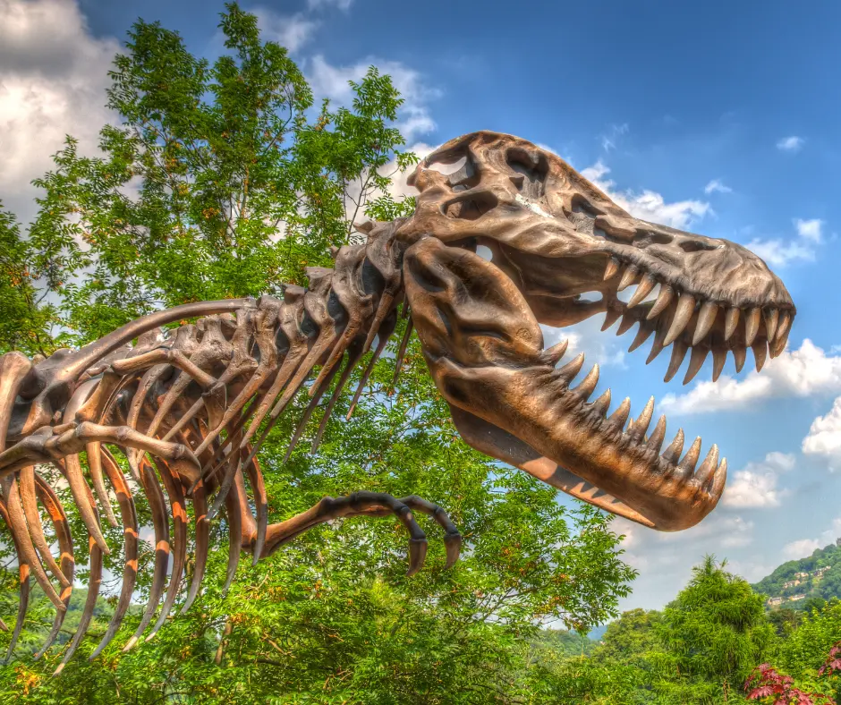 Dinosaur Museum at Canyon Lake Texas