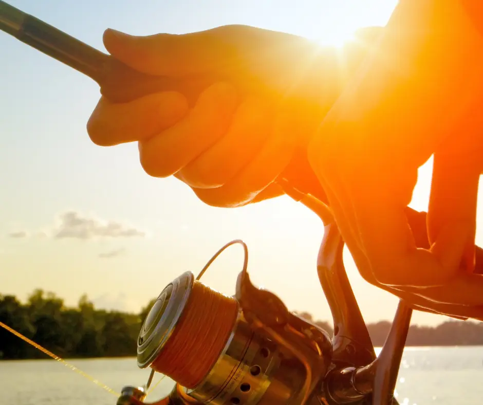 Guided Fishing Trip on Canyon Lake Texas