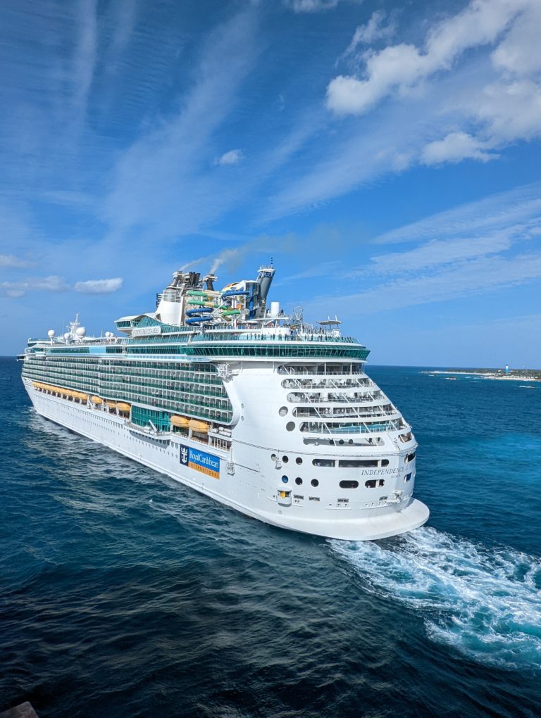 42 Cruise Gift Ideas (The Best Gifts For Cruise Lovers!)