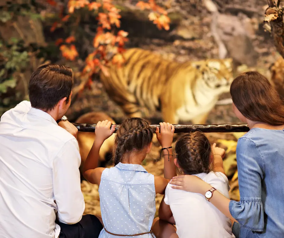 The American Museum of Natural History- Things to do in NYC with kids